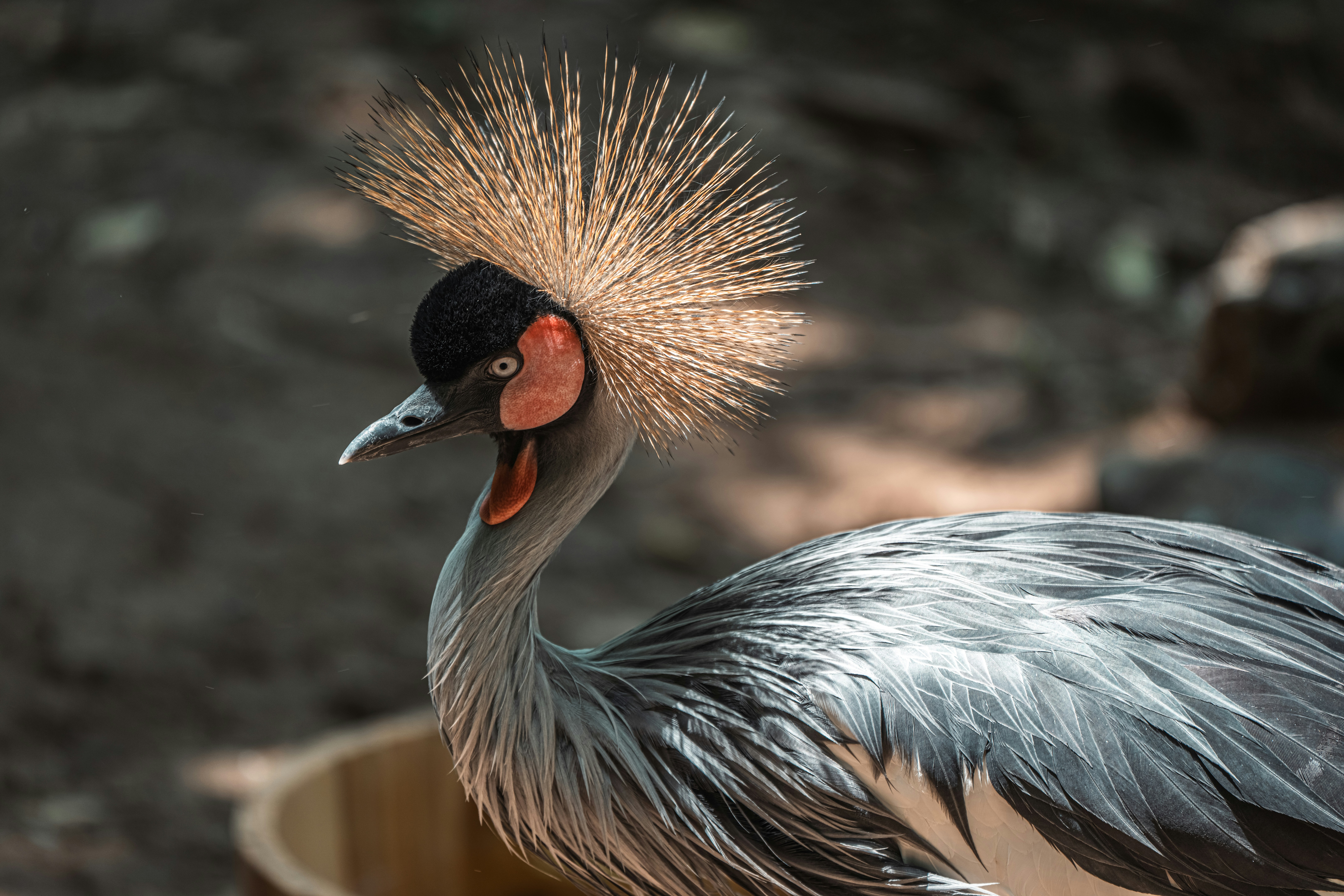 Photo by douglasalan