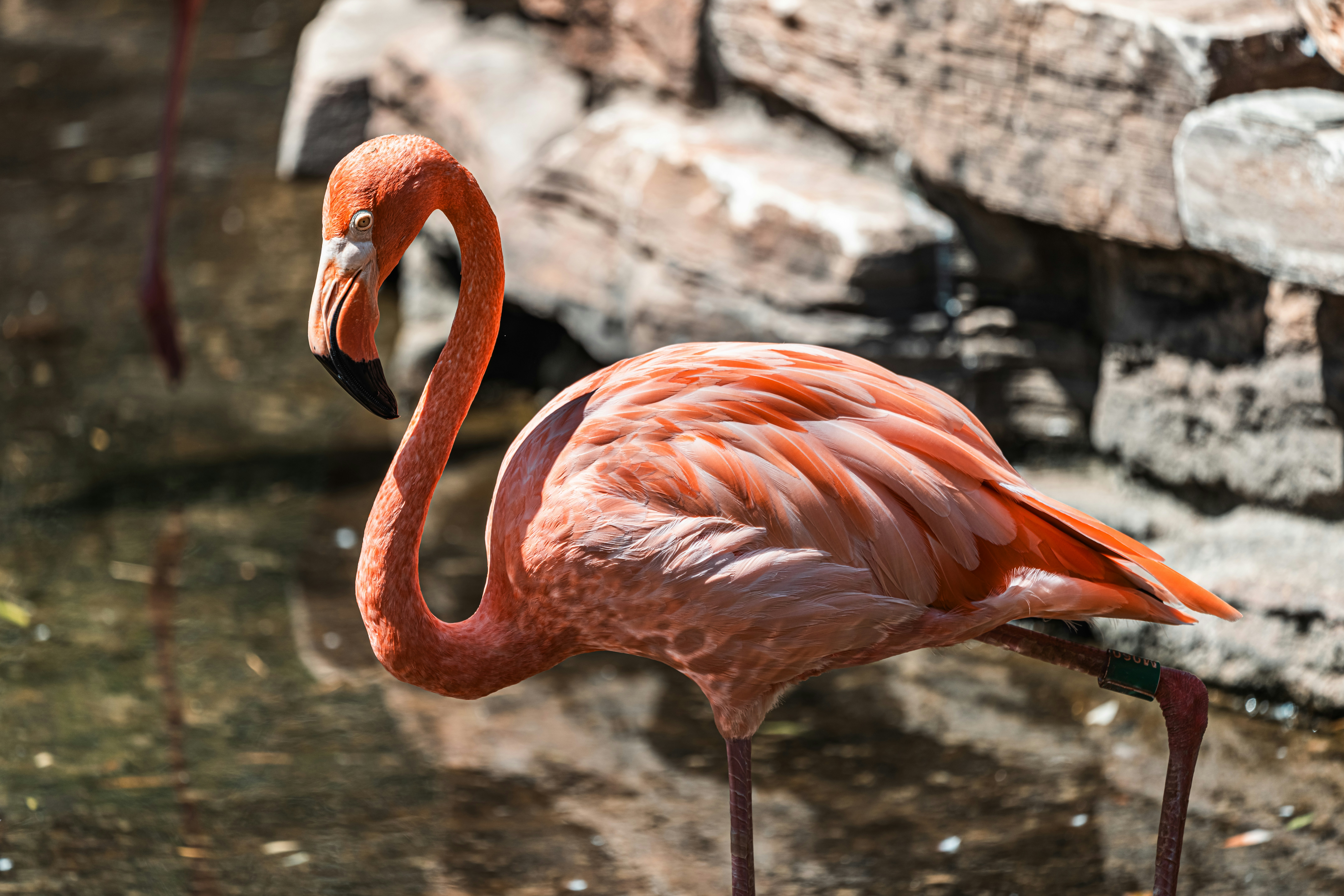 Photo by douglasalan