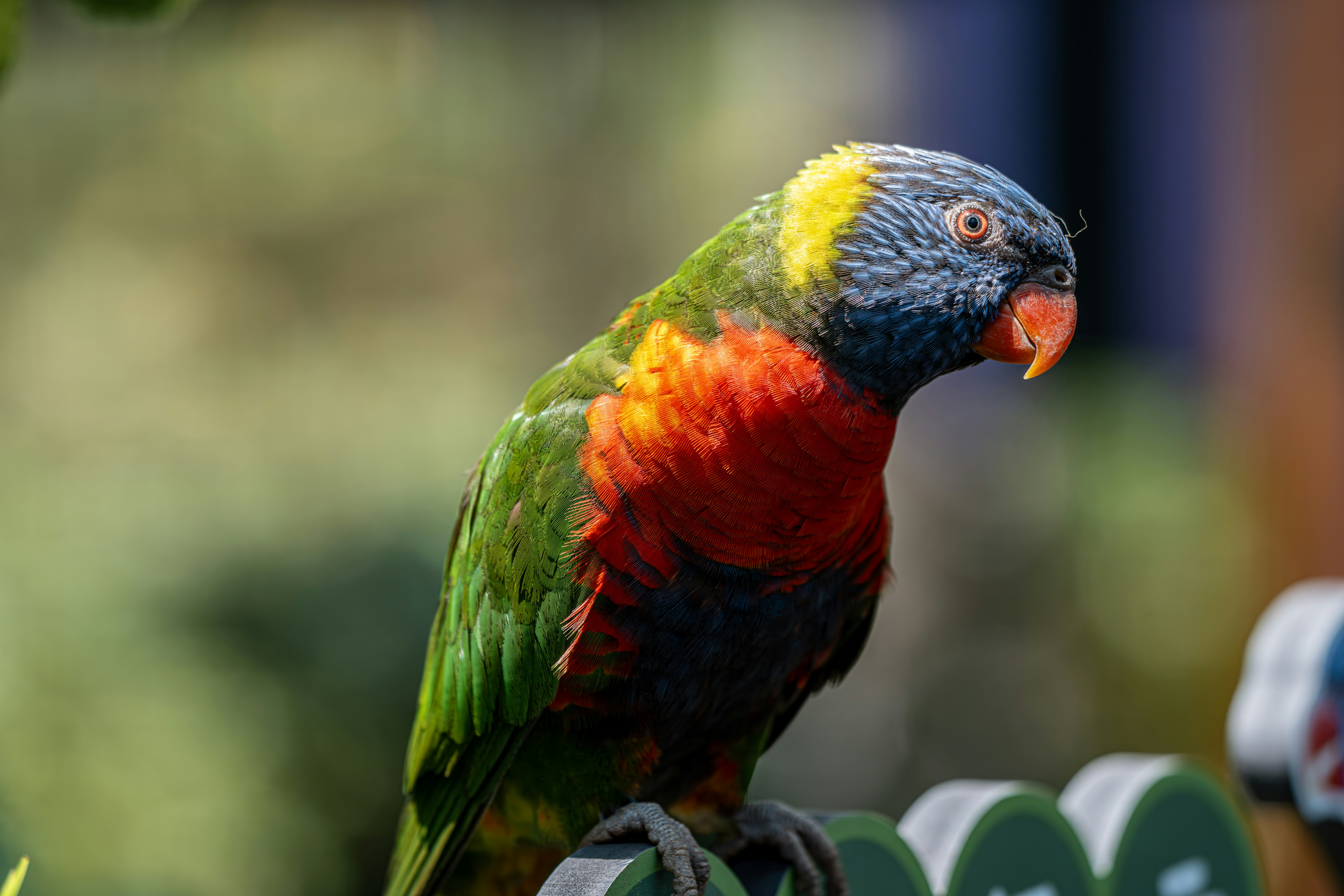 Photo by douglasalan