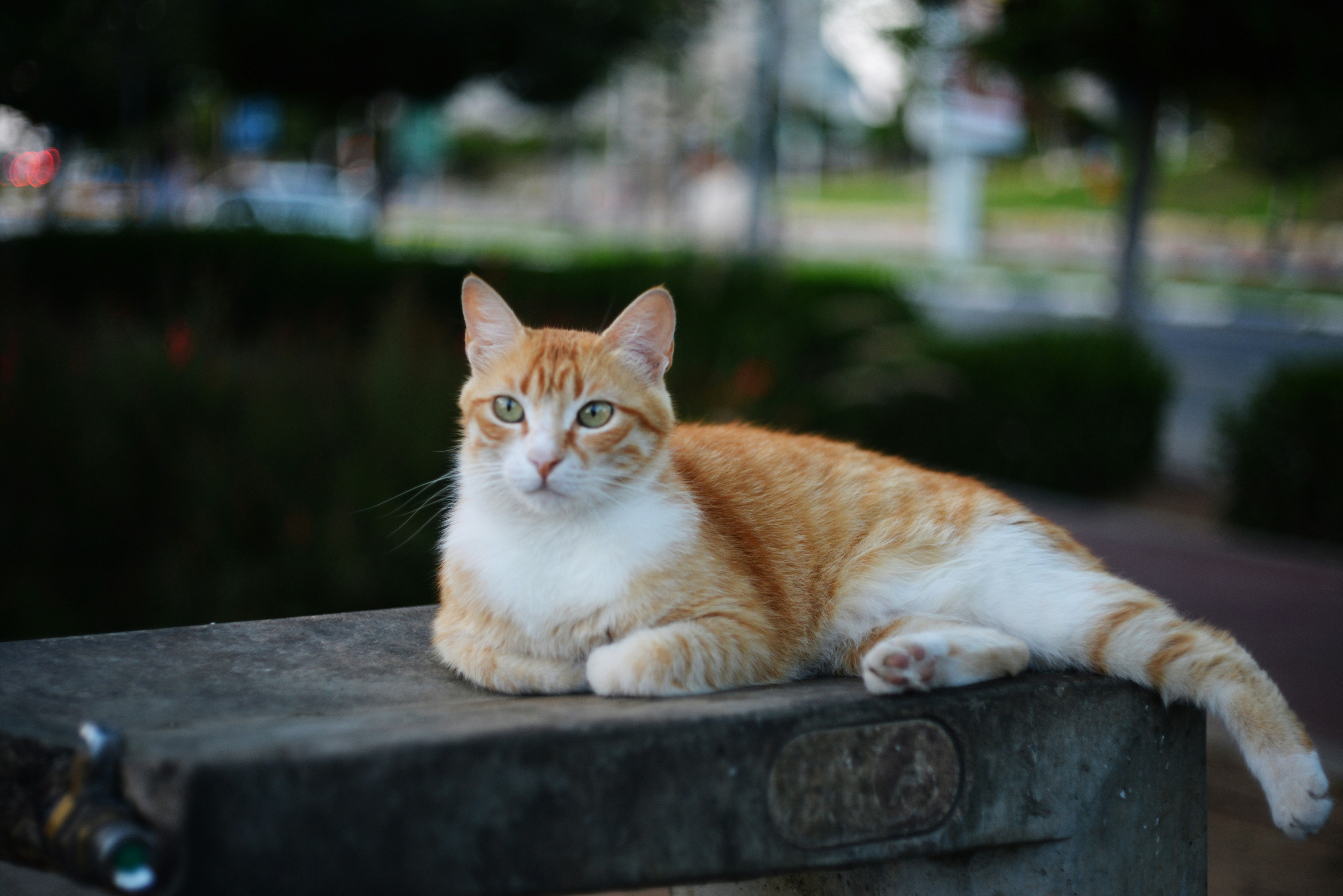 Photo by cherstve_pechivo