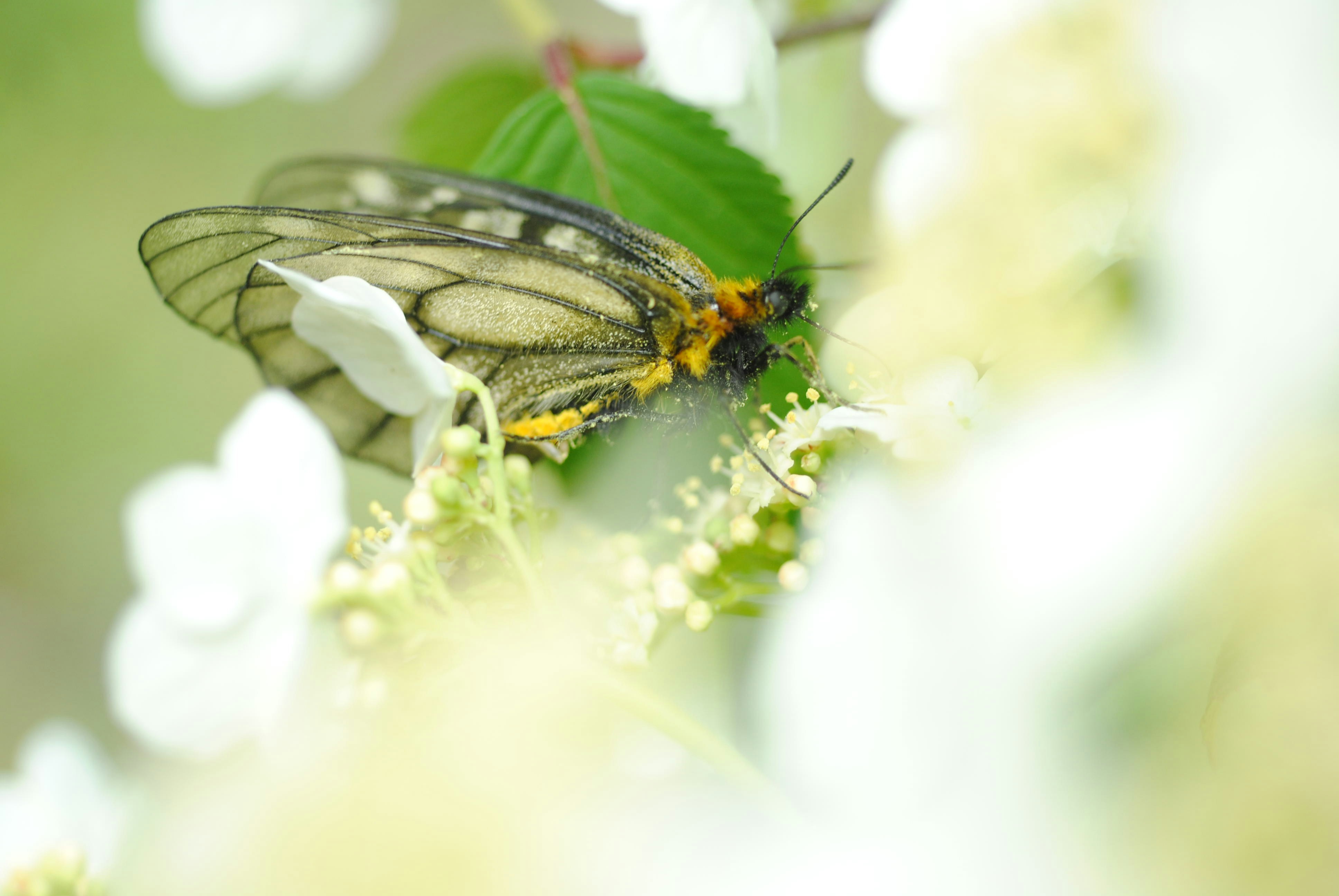 Photo by tpenguin