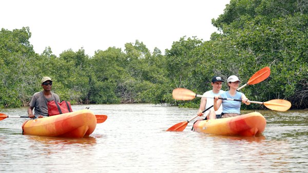 Kayaks on a mangrove creek — The Gambia, The Gambia