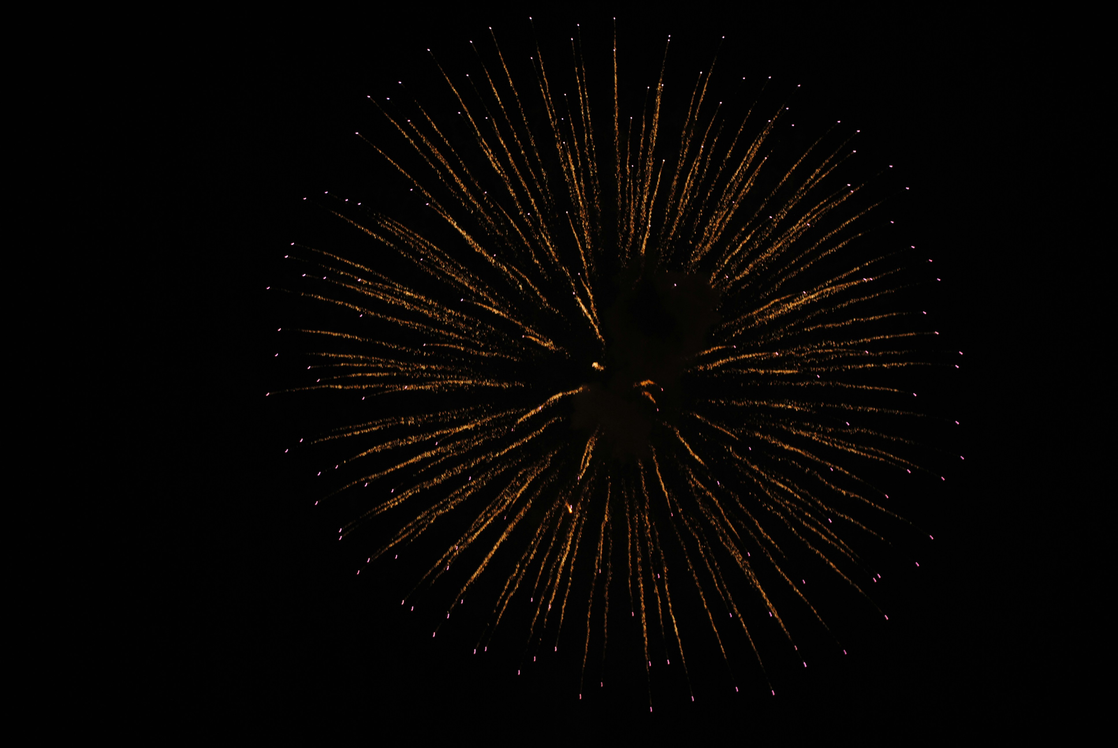 Fireworks explode brightly against the night sky.