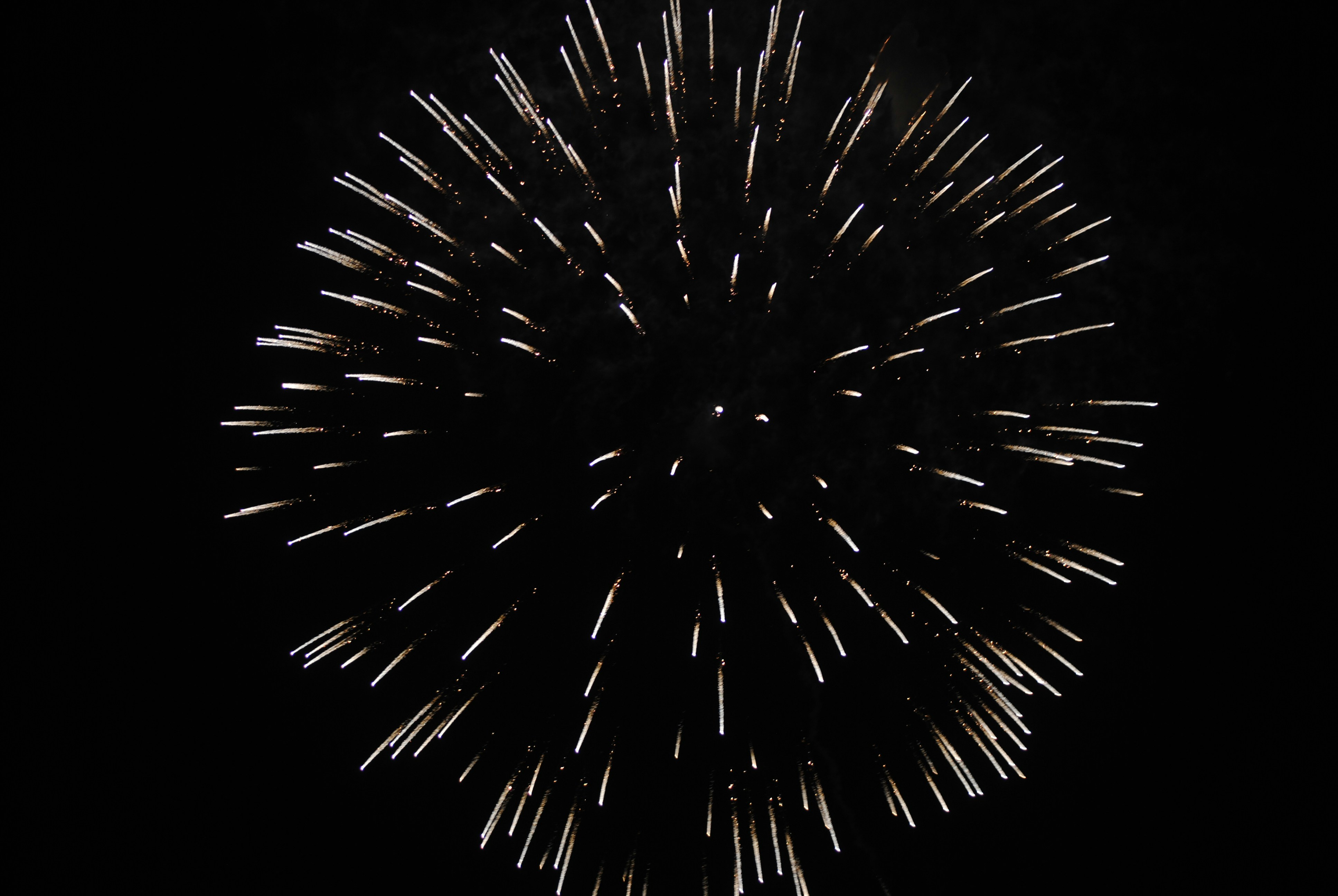 Fireworks explode brightly against the dark sky.