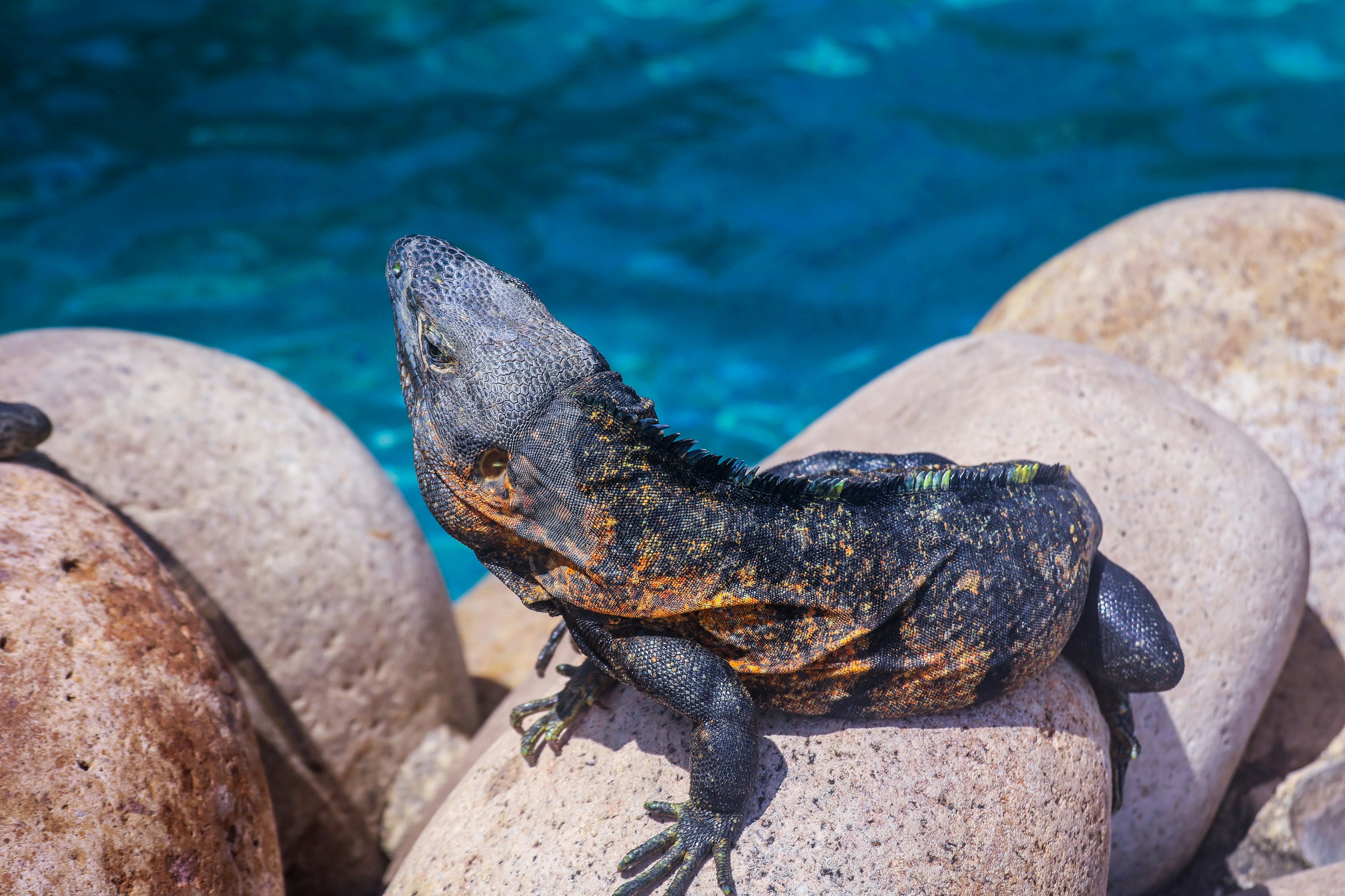 Photo by traveleroohlala