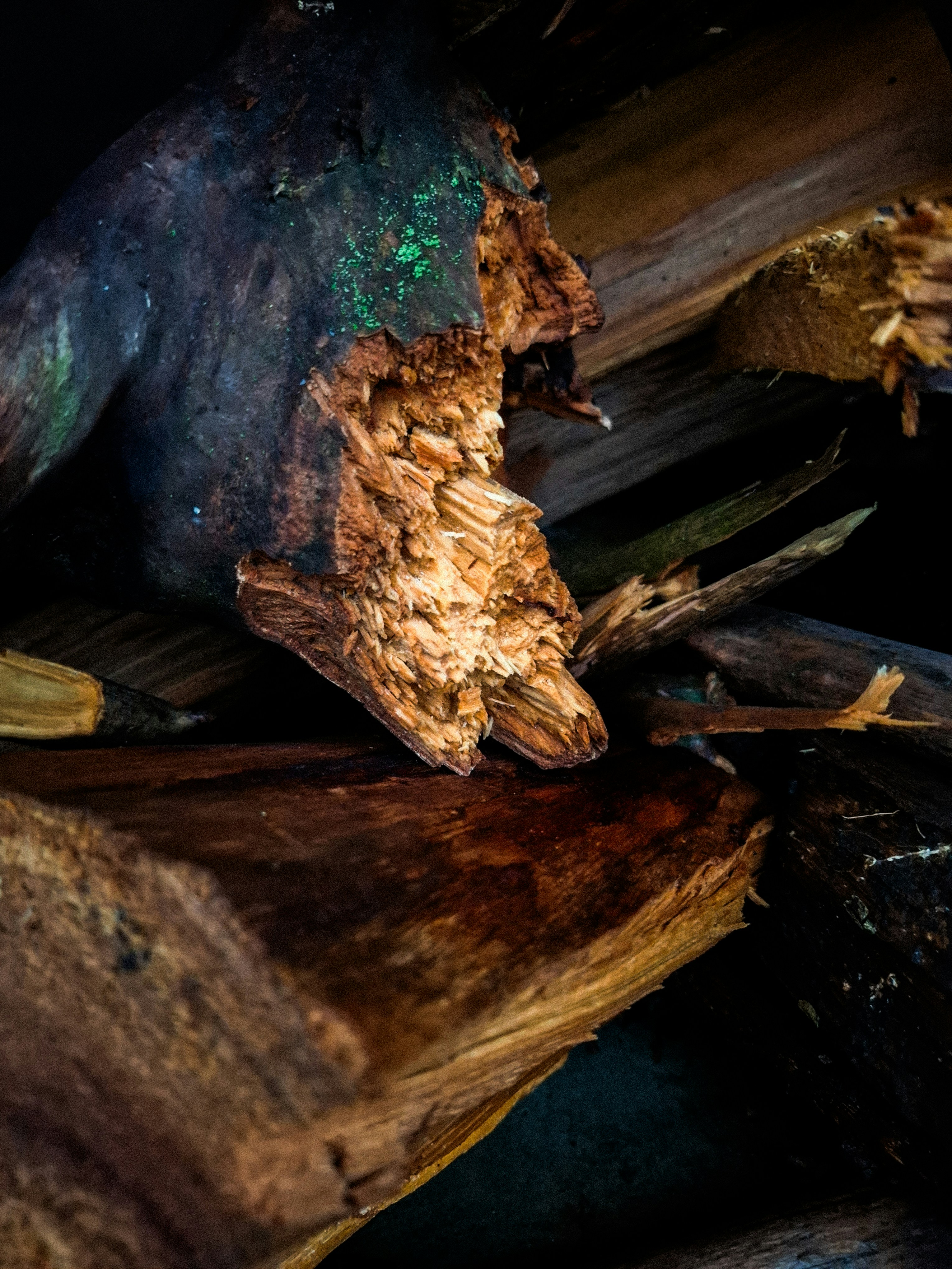 Verwittertes Holz zeigt seine natürliche Textur.