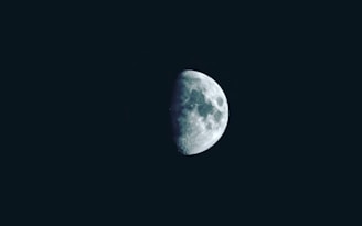 A half moon shines brightly in the dark sky.