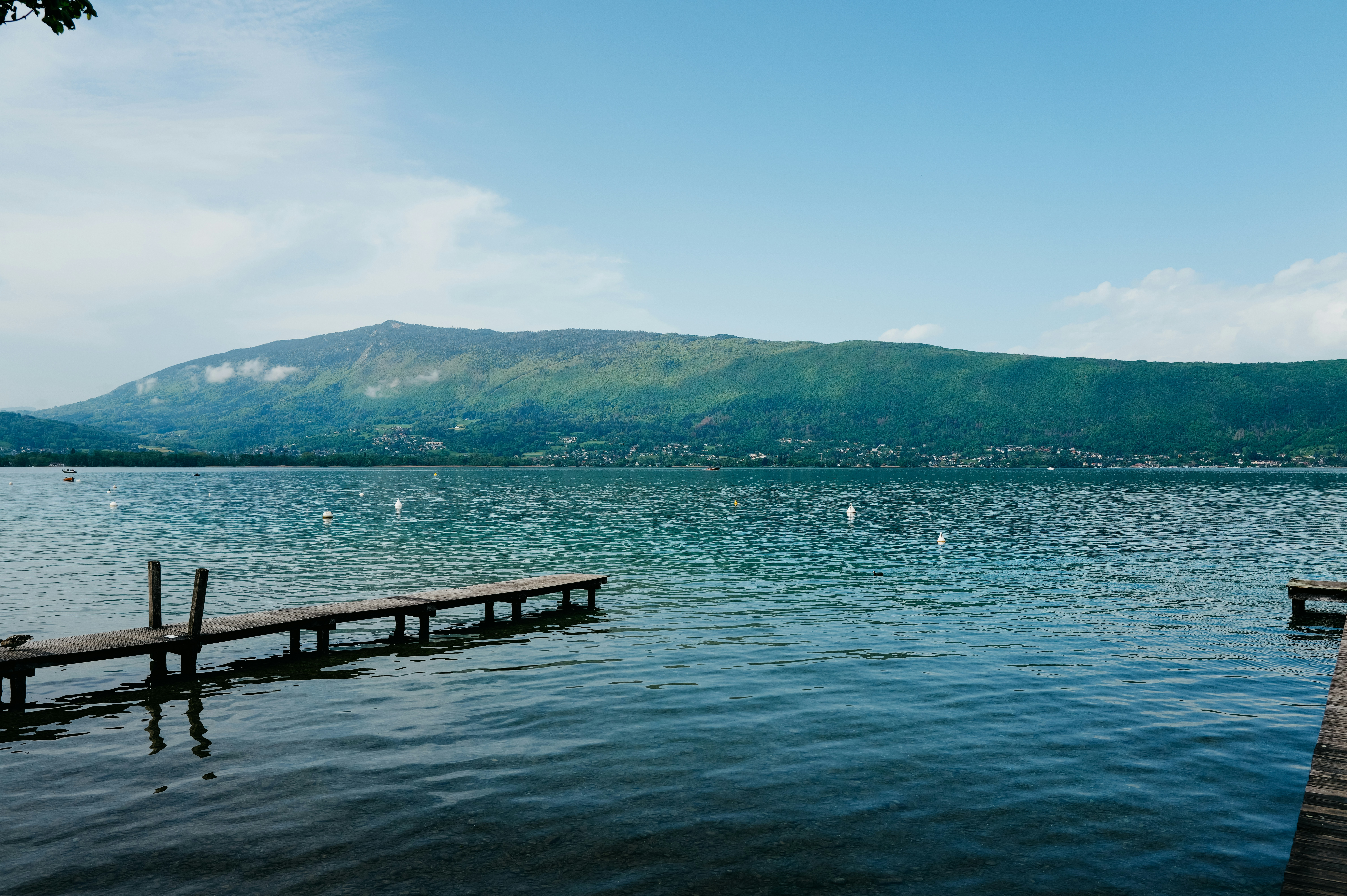 Photo by adrienolichon