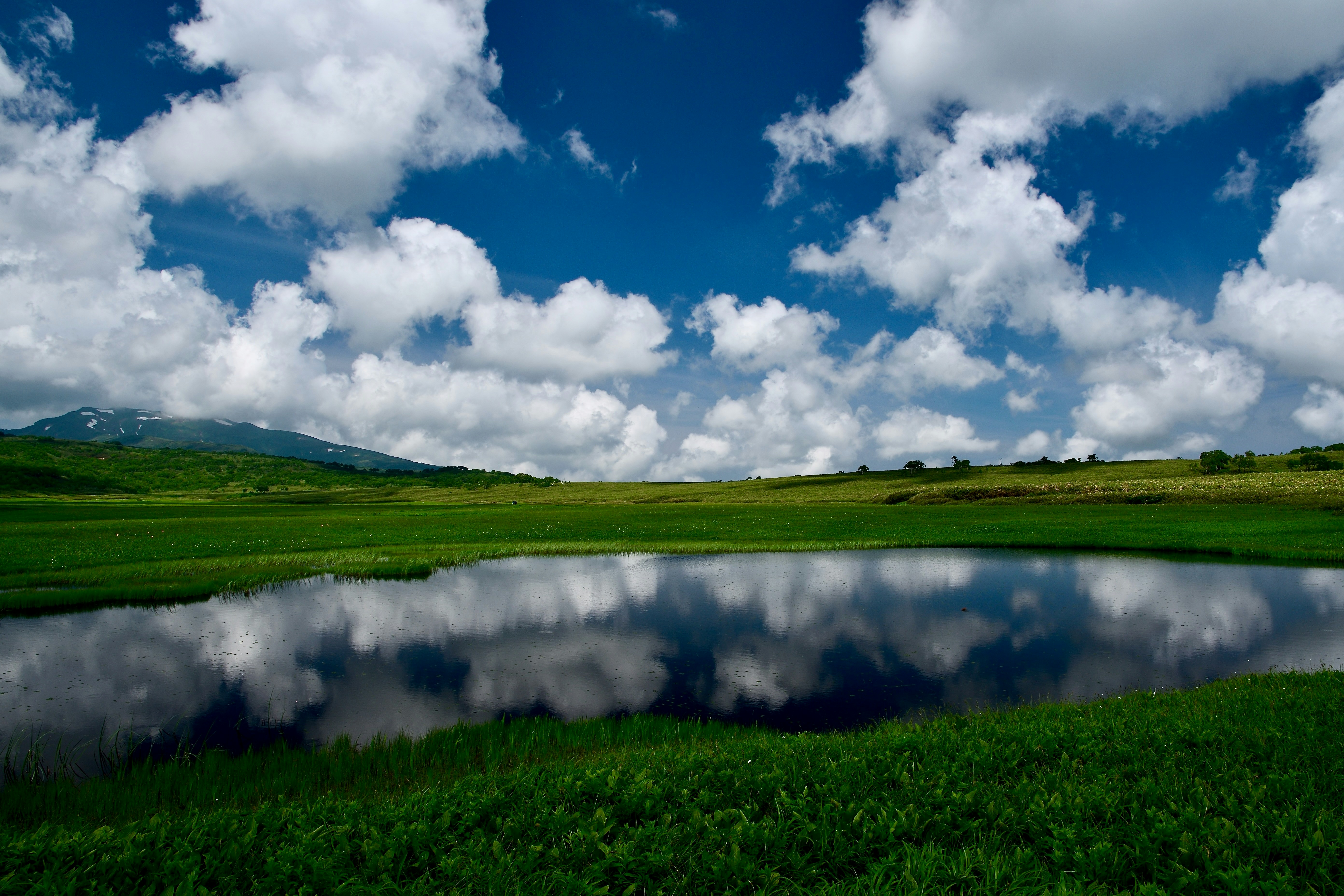 Clouds reflect beautifully in a peaceful pond.