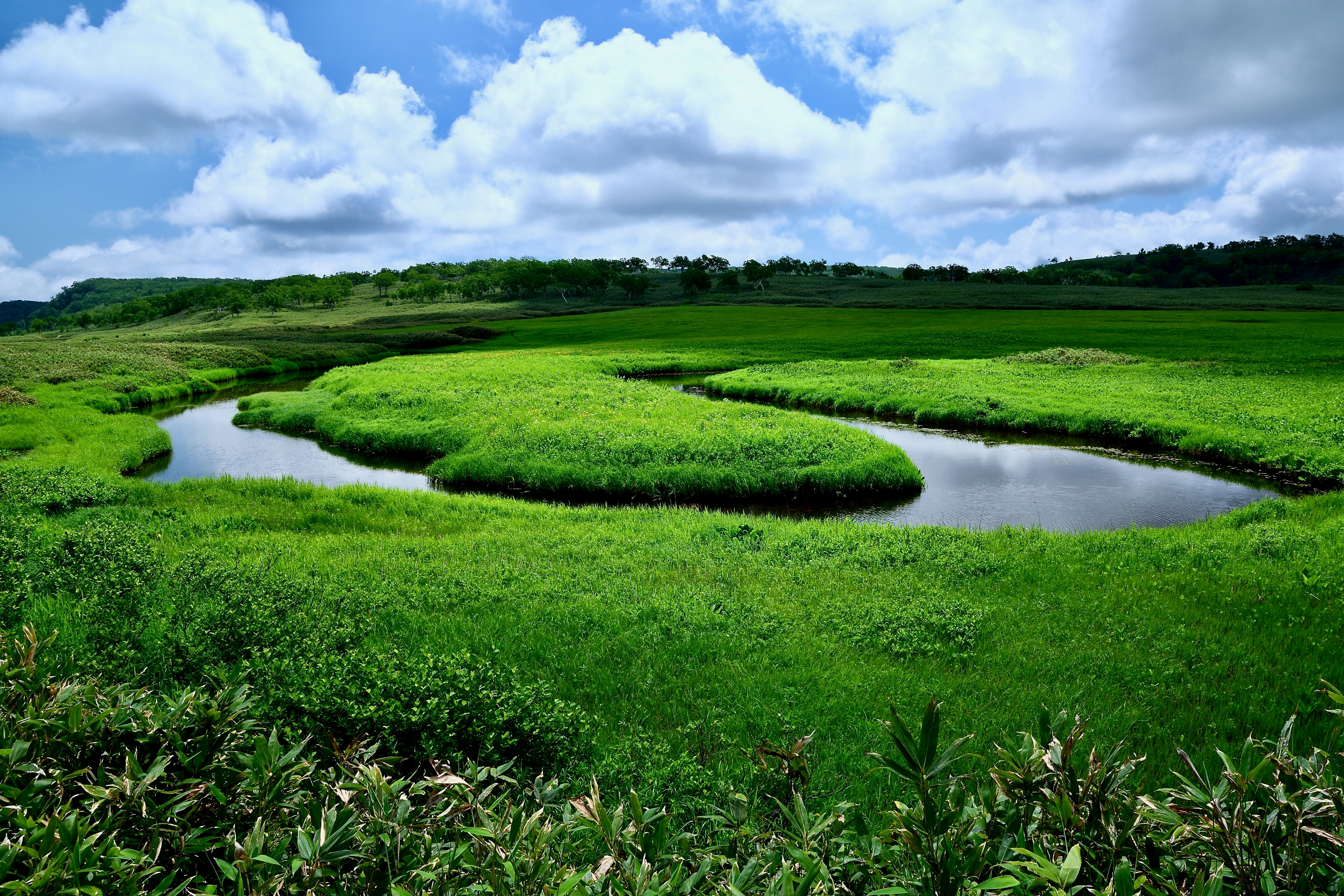 A green meadow flows with a winding river.