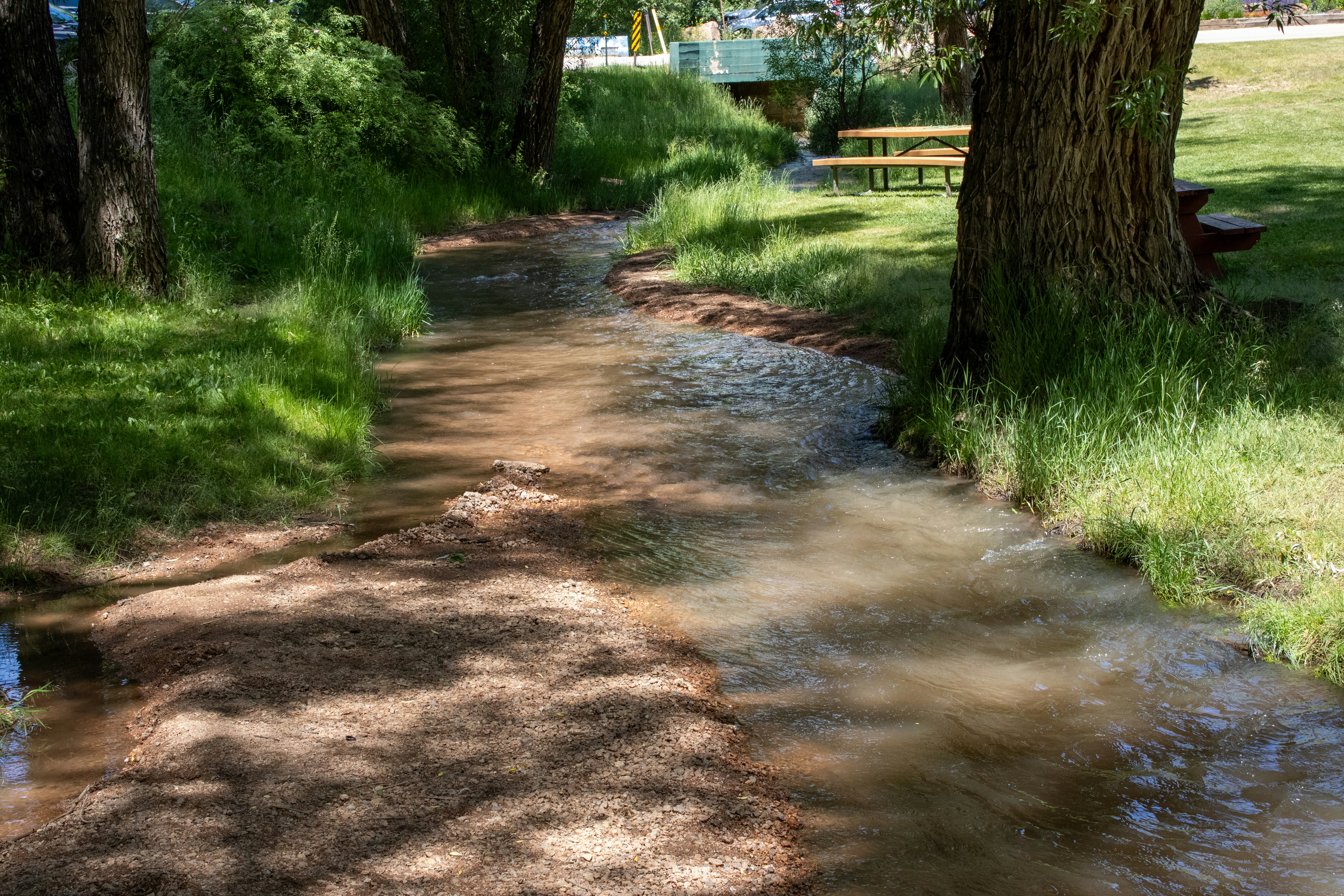 A stream flows through a green, grassy area.