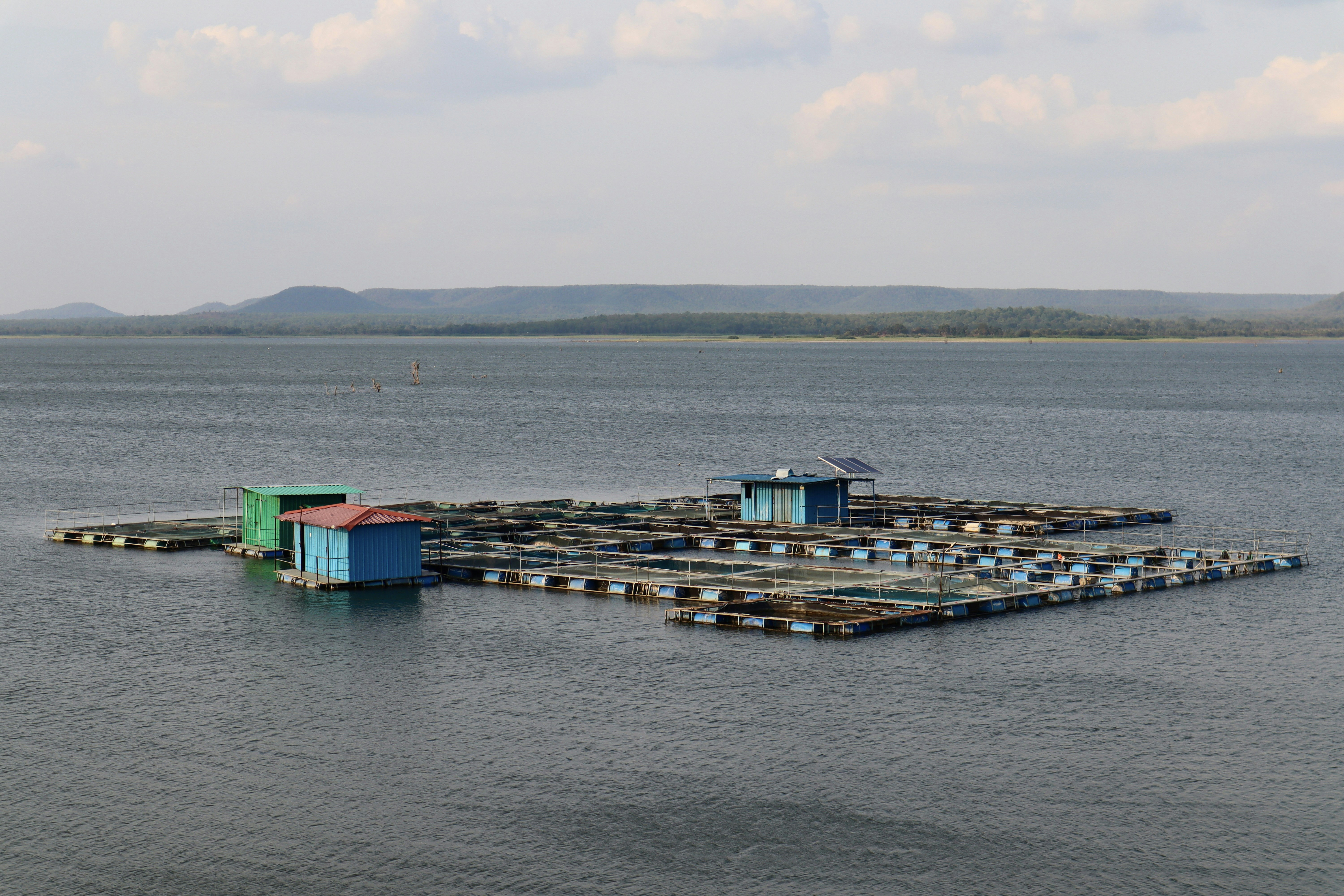 Schwimmende Strukturen liegen auf einem ruhigen Gewässer.