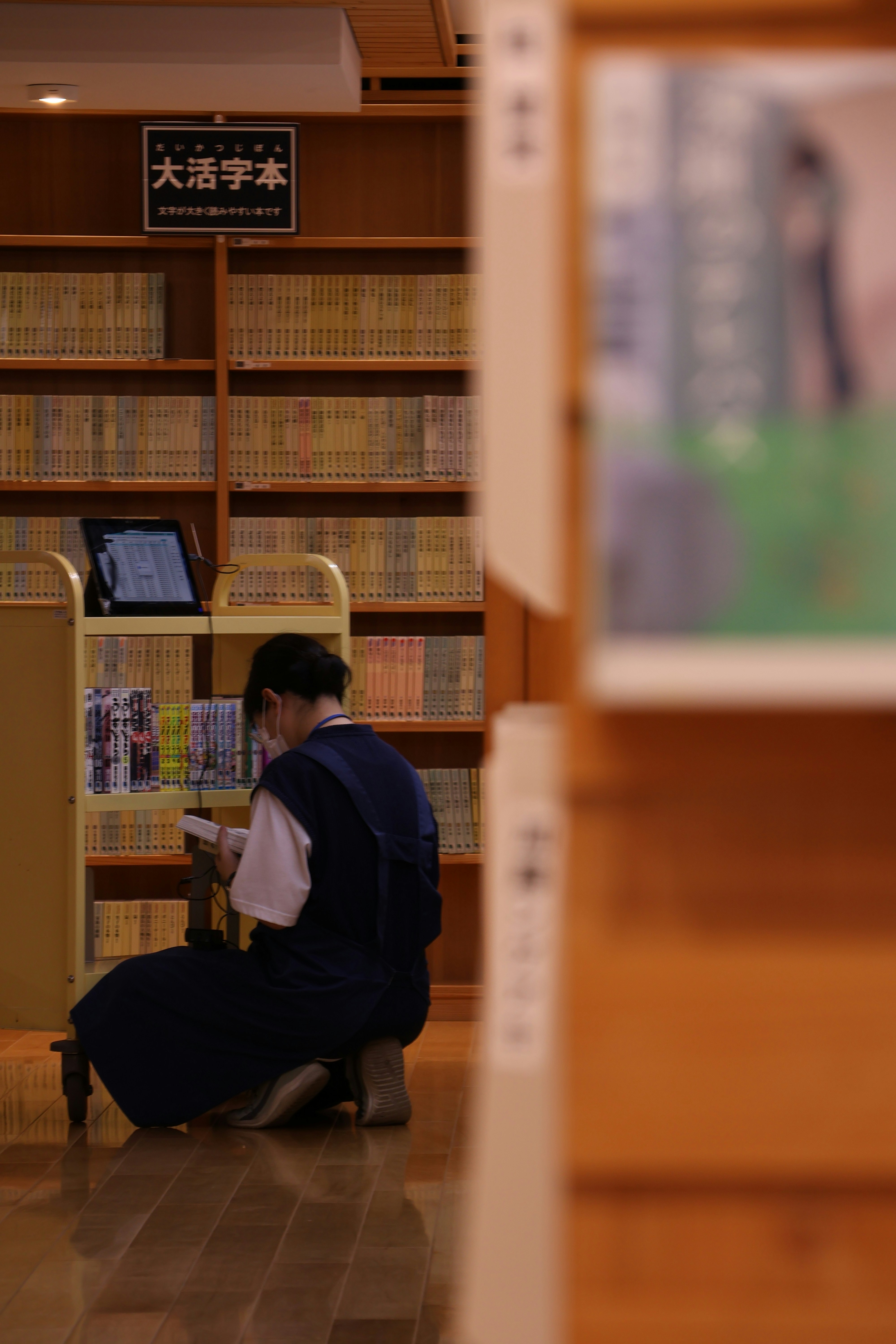 Una persona se agacha para mirar libros en una biblioteca.