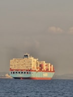 A large container ship sails on the ocean.