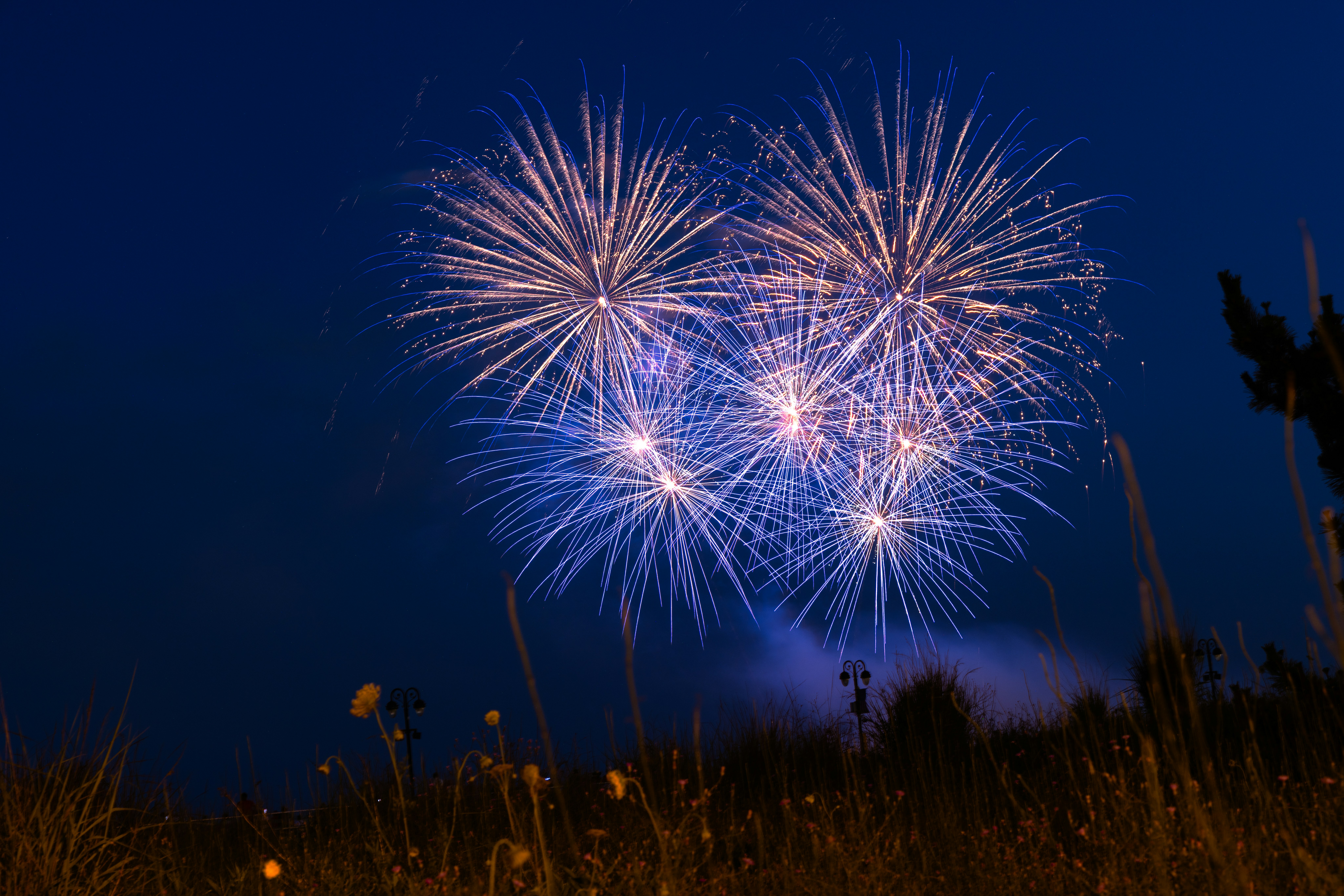 Fireworks burst brightly in the night sky.