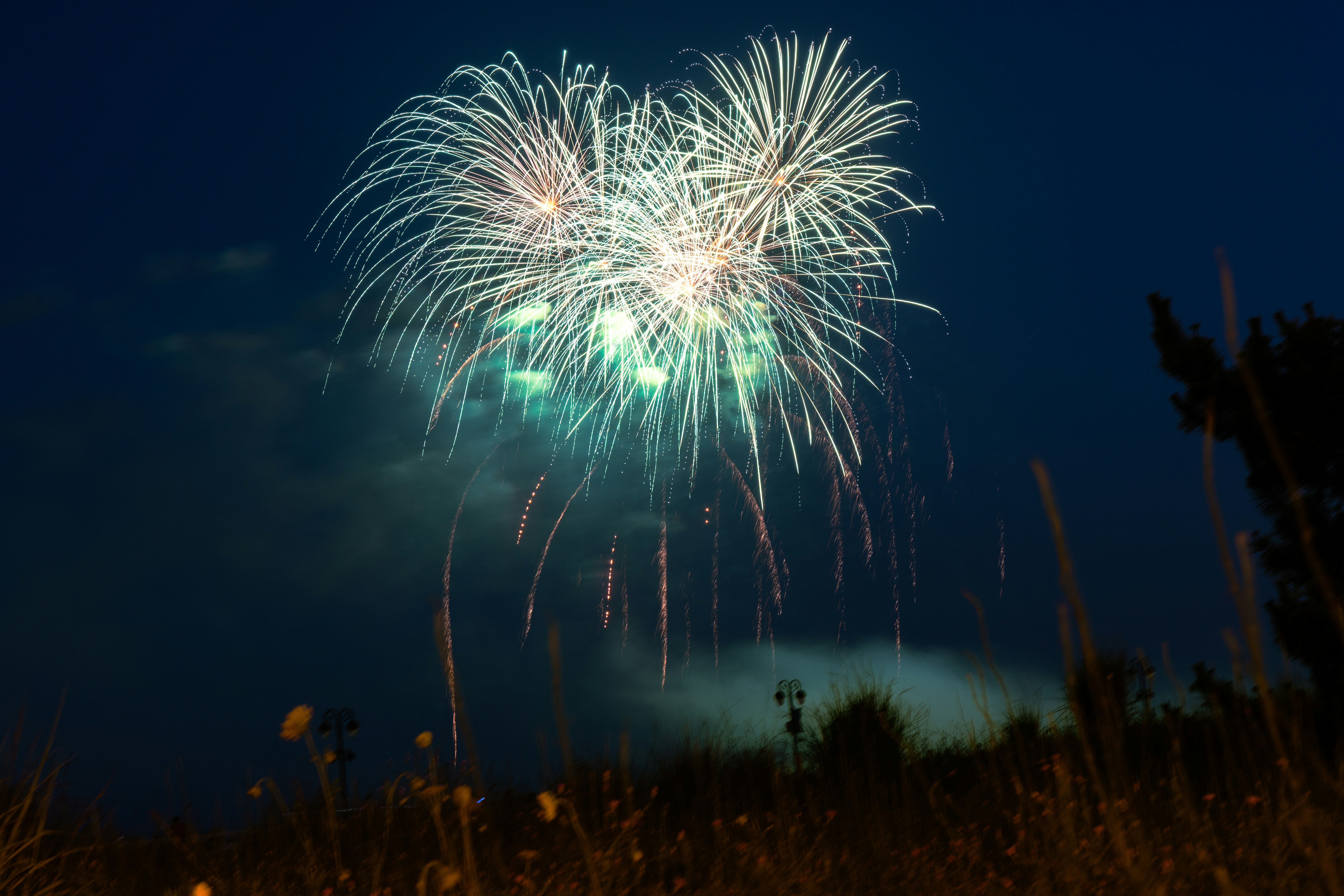 Fireworks light up the night sky.