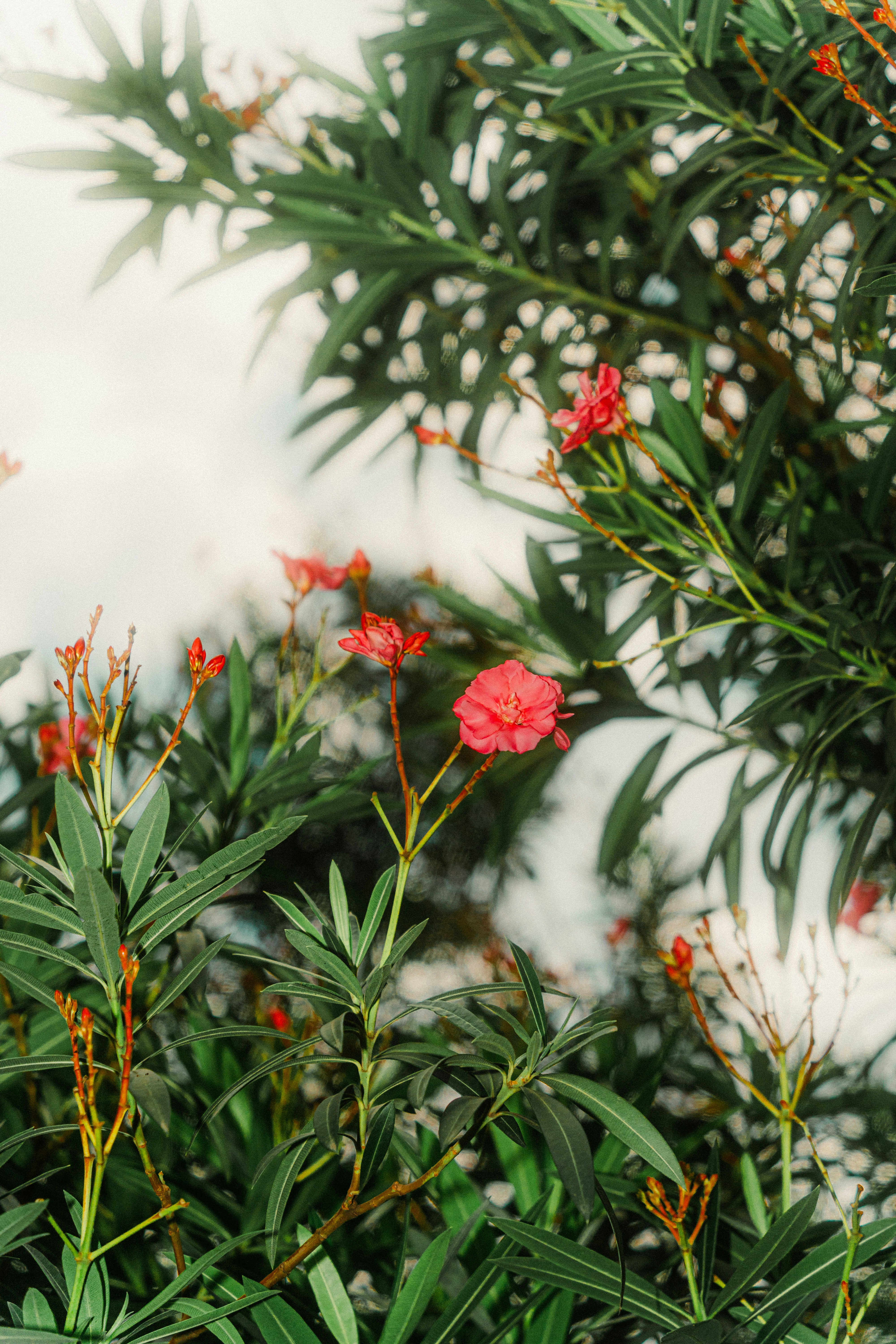 Photo by xiexianghua