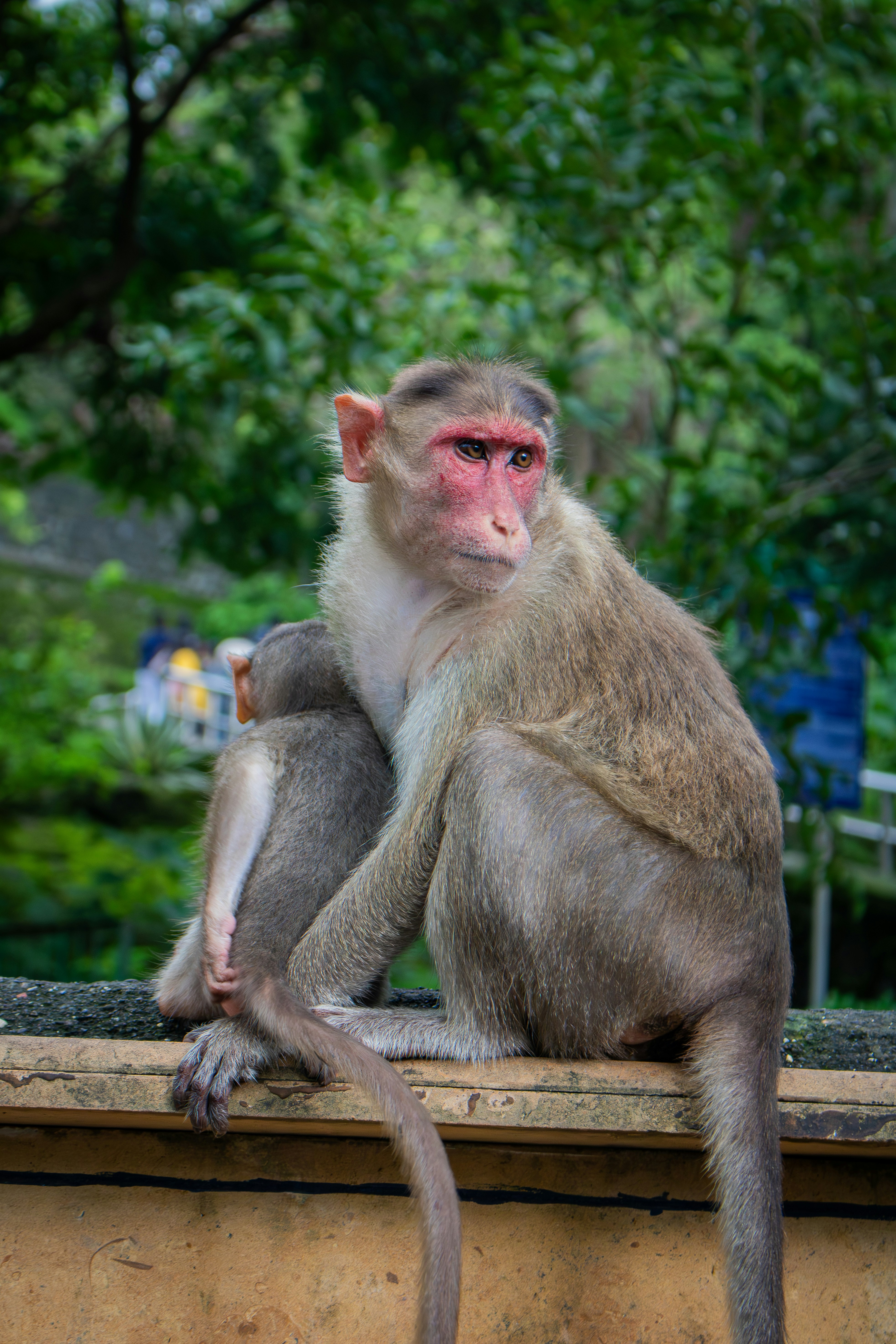 Photo by zoshuacolah