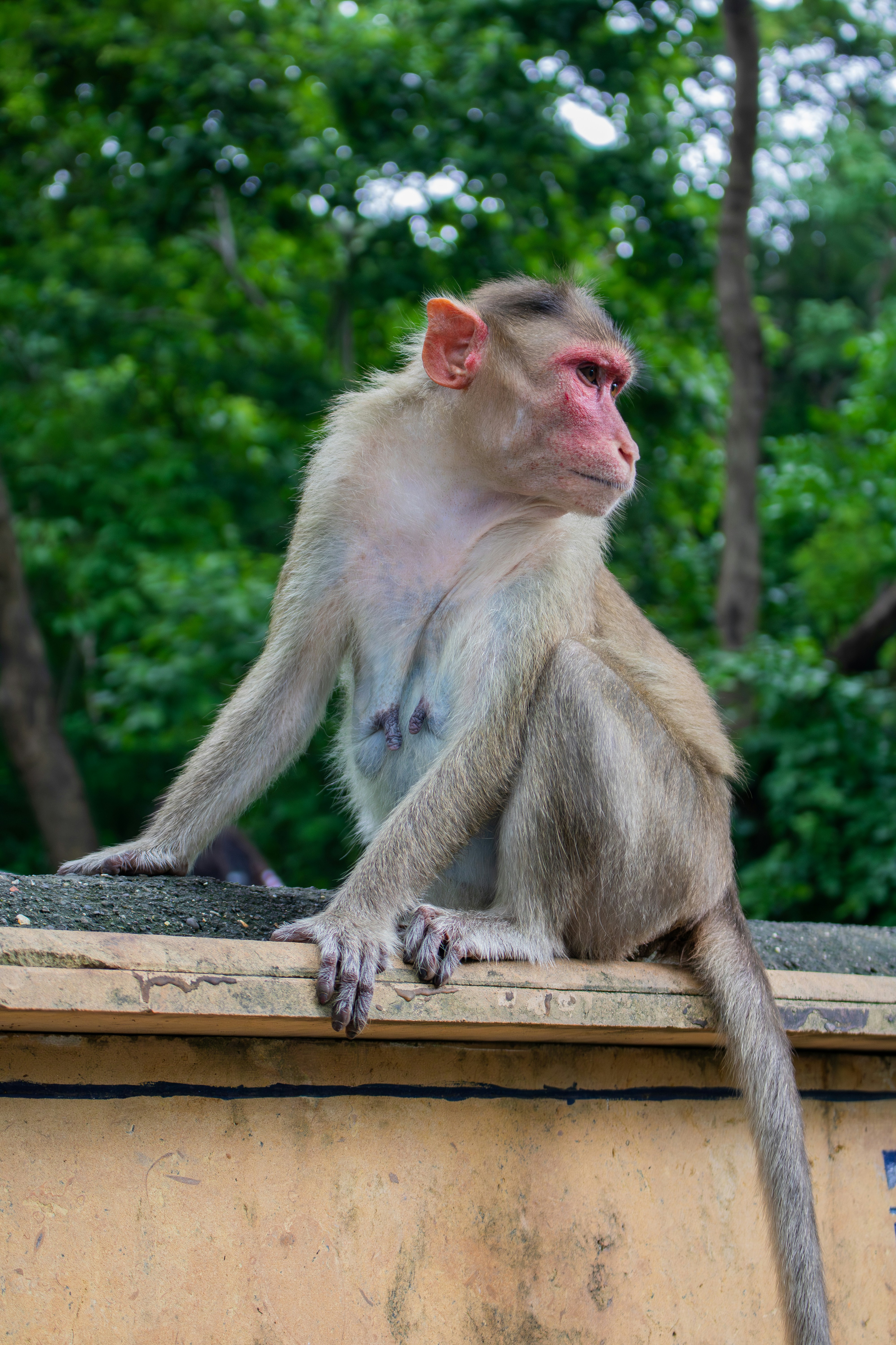 Photo by zoshuacolah