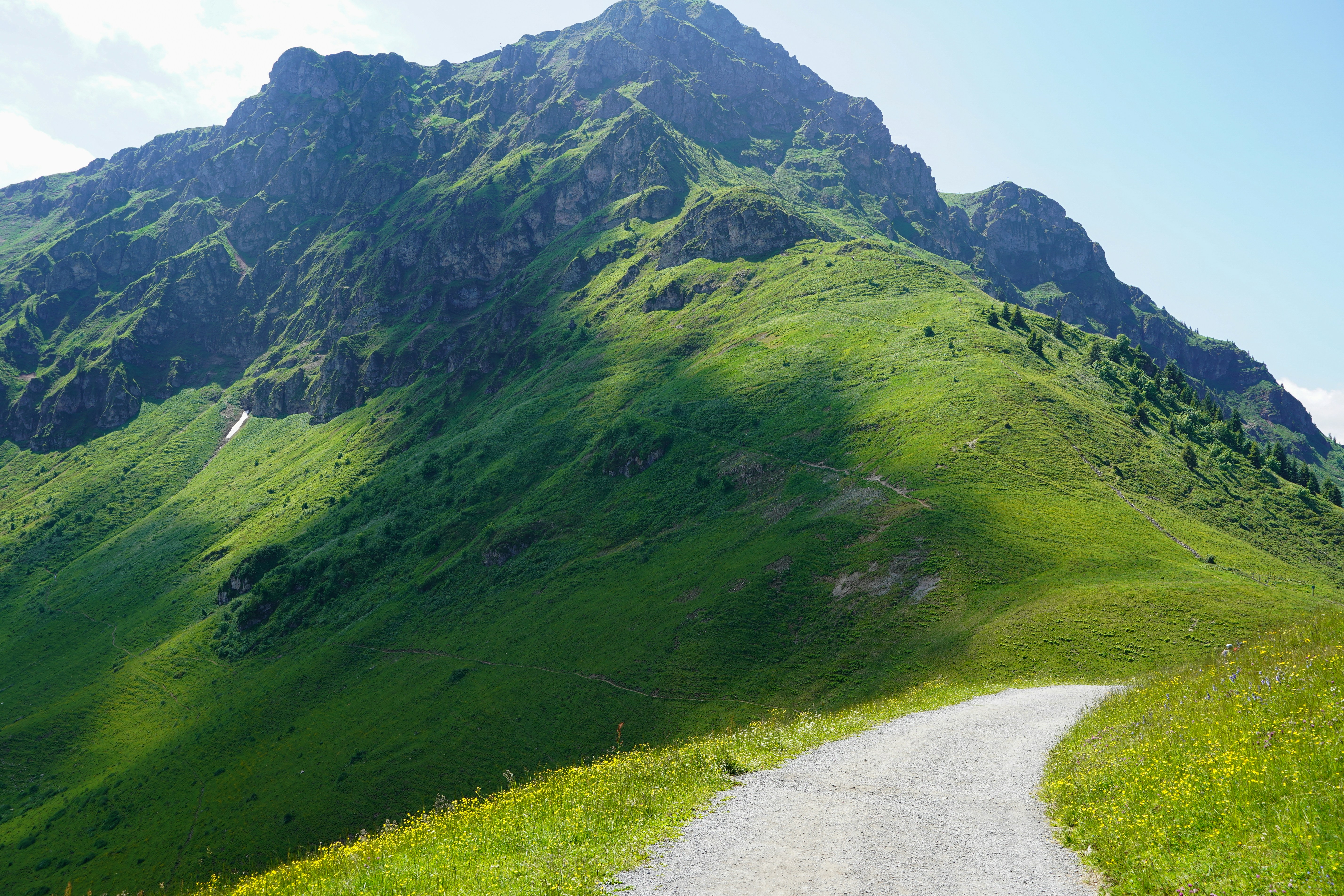 Photo by hamburgmeinefreundin