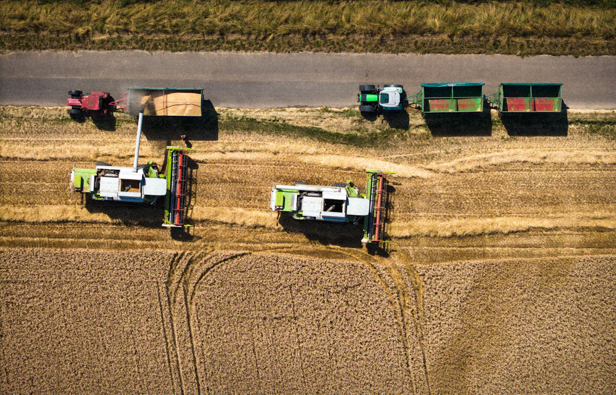 Combine harvesters and tractors working a large wheat field