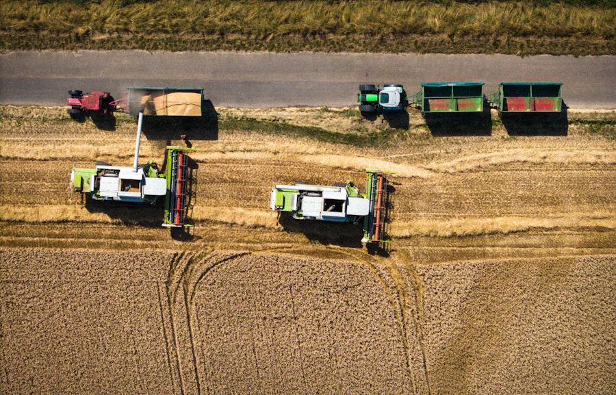 Combine harvesters working a golden wheat field