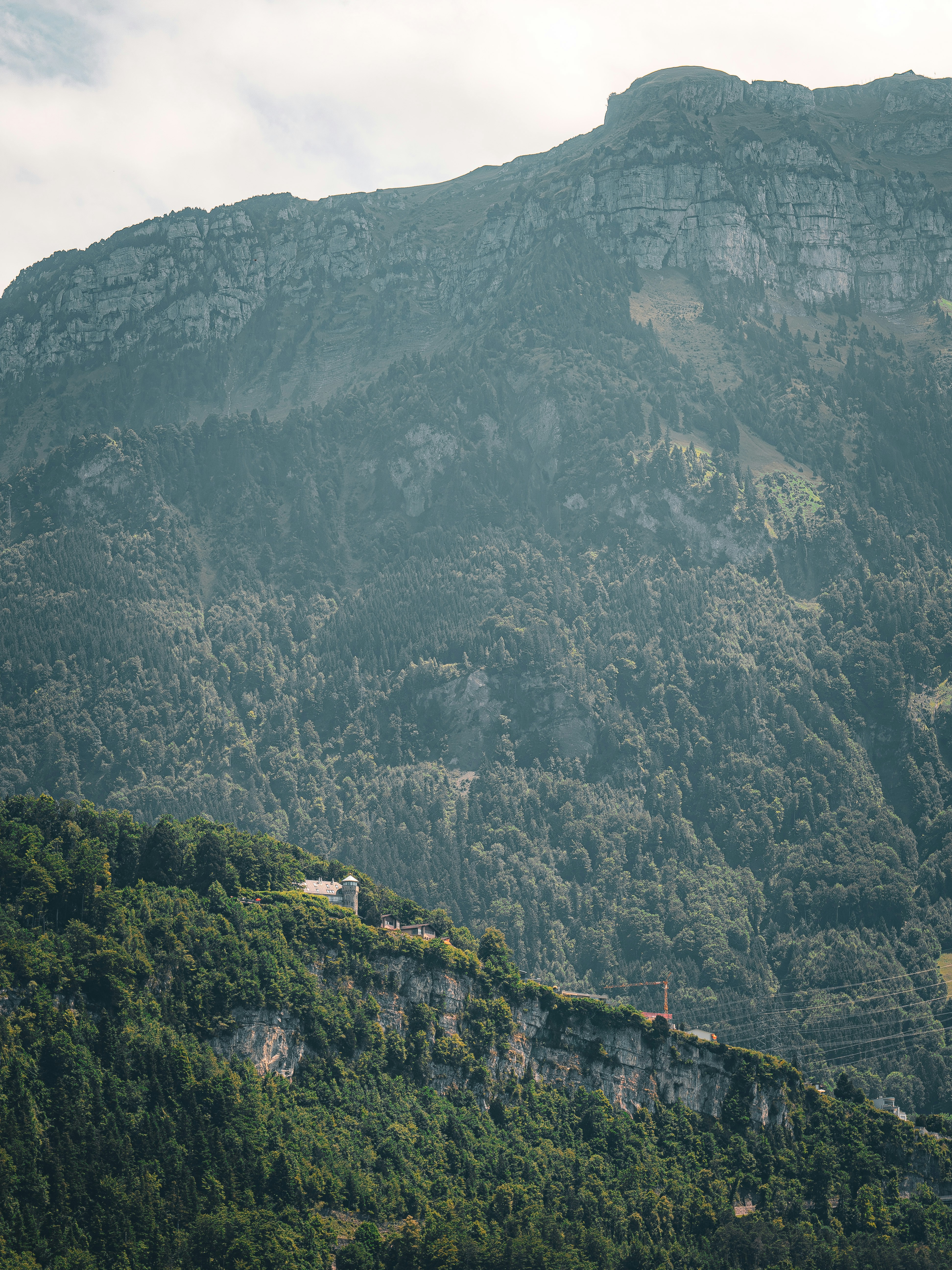 Photo by poli_graphy