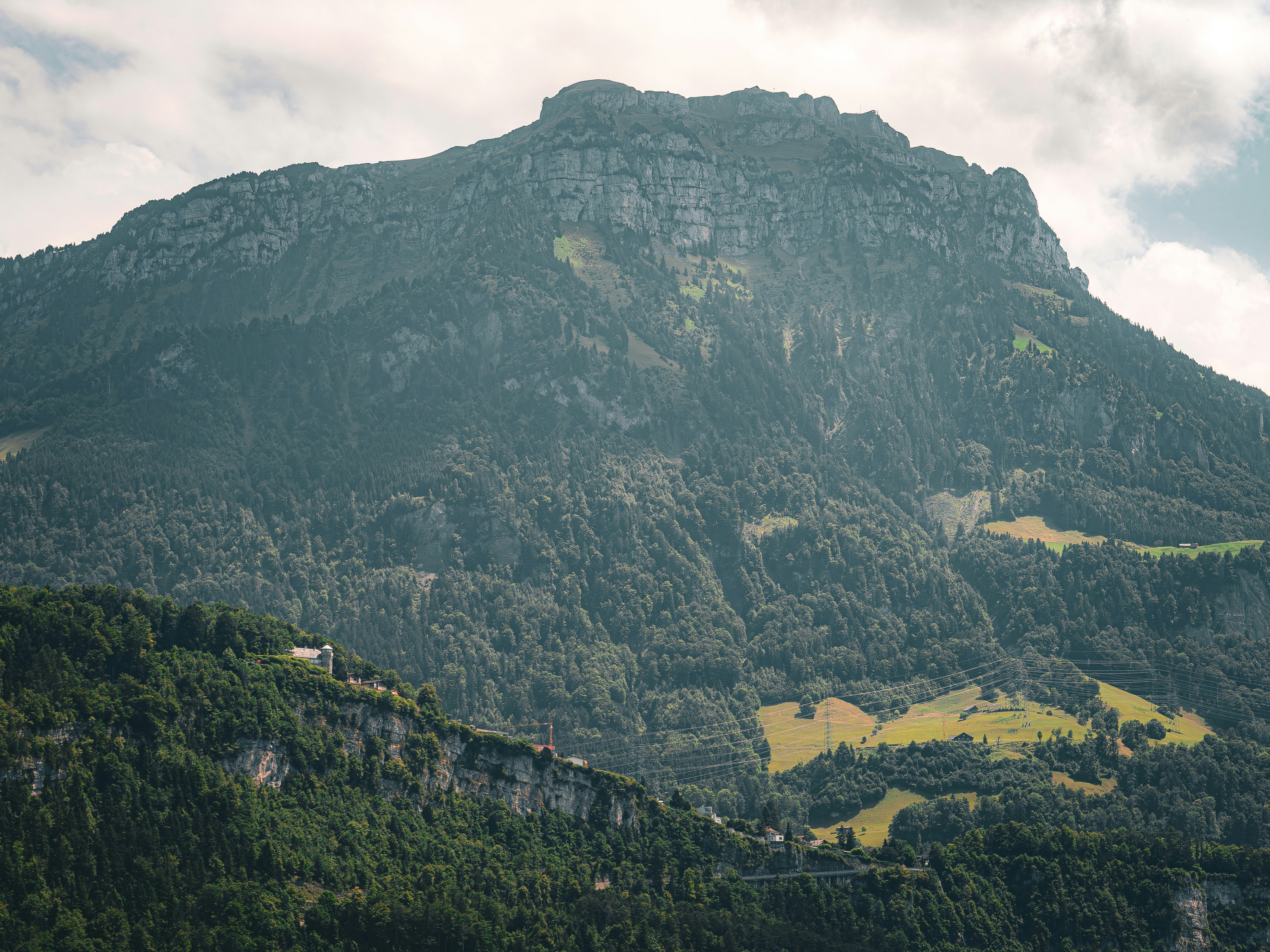 Photo by poli_graphy