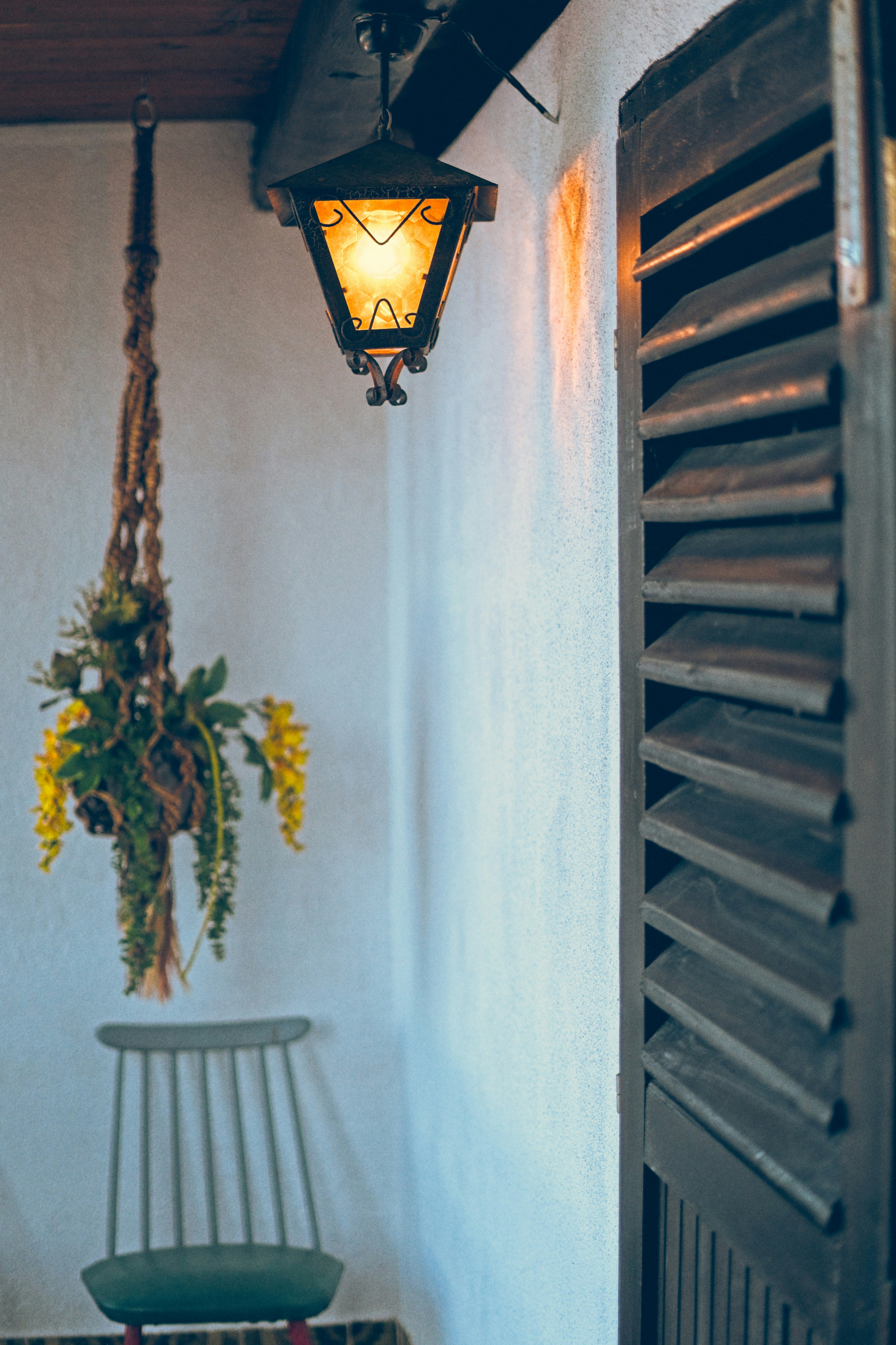 Photo by nedimshoots