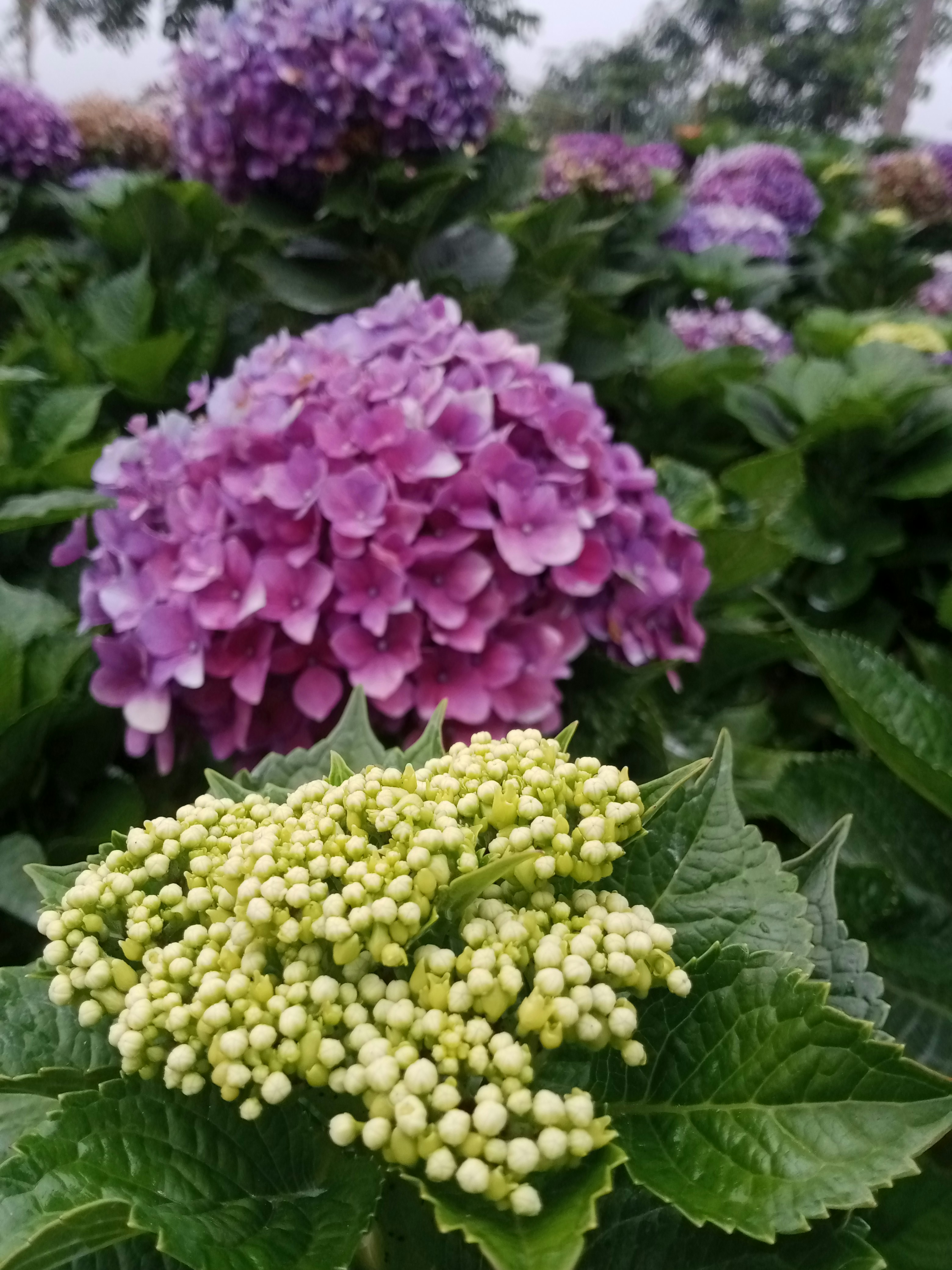 Photo by sugi007_mlg