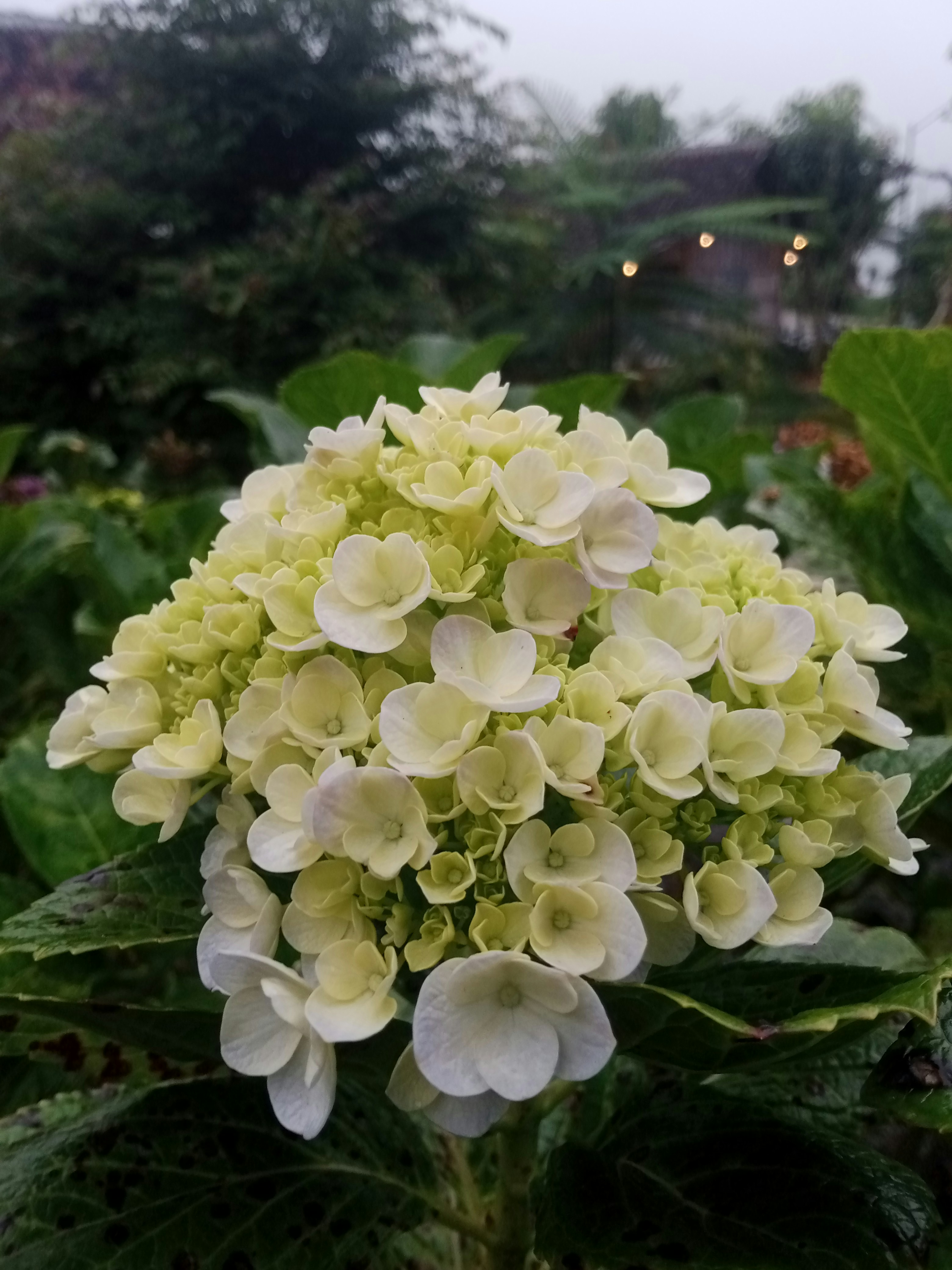 Photo by sugi007_mlg