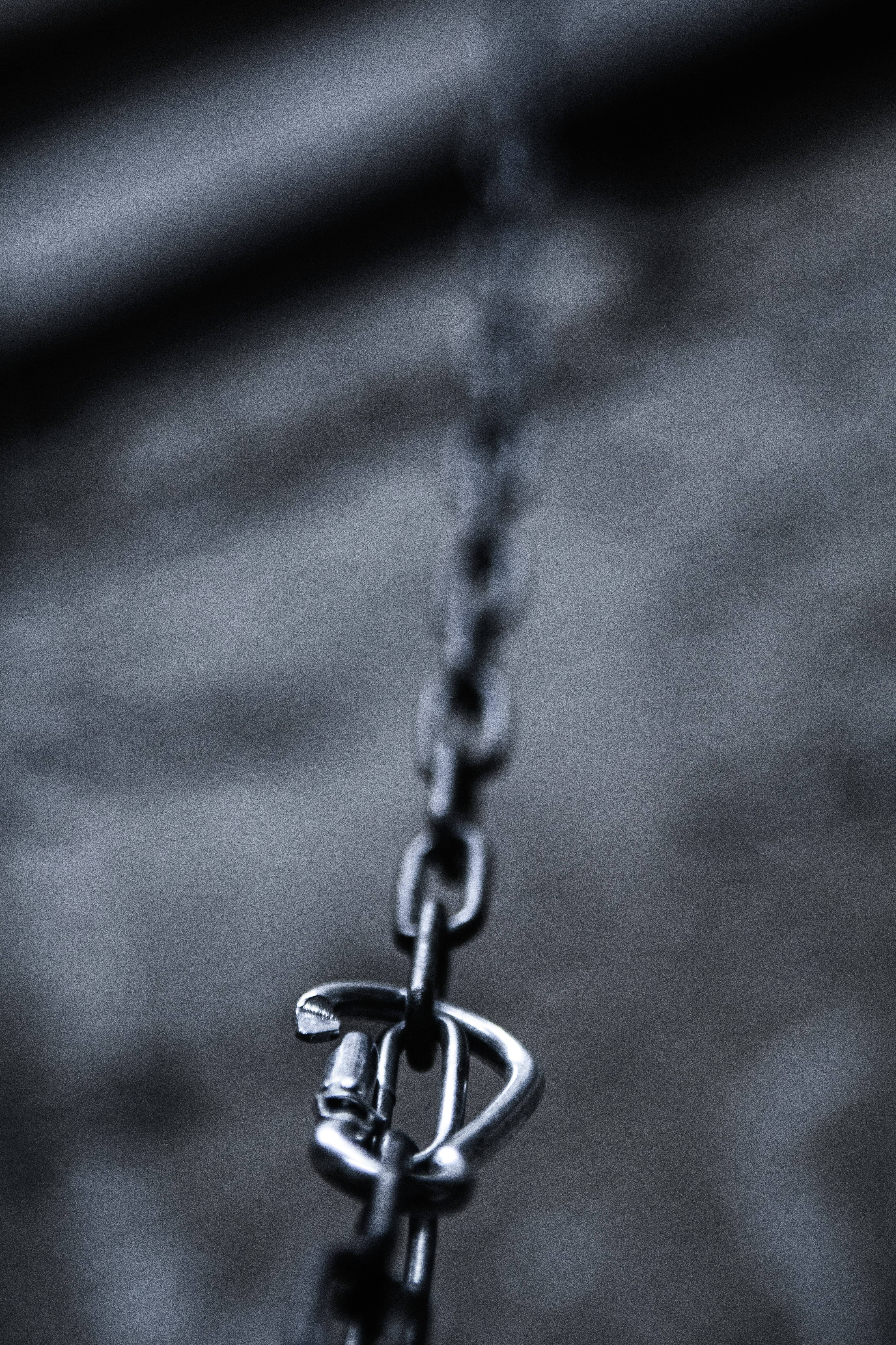 photo-1751800562268-418cd3e72cbb?ixid=M3wxMjA3fDB8MXxzZWFyY2h8OHx8bGluayUyMHBlZG9waWx8ZW58MHx8fHwxNzU4NDMwNjU4fDA\u0026ixlib=rb-4.1.0