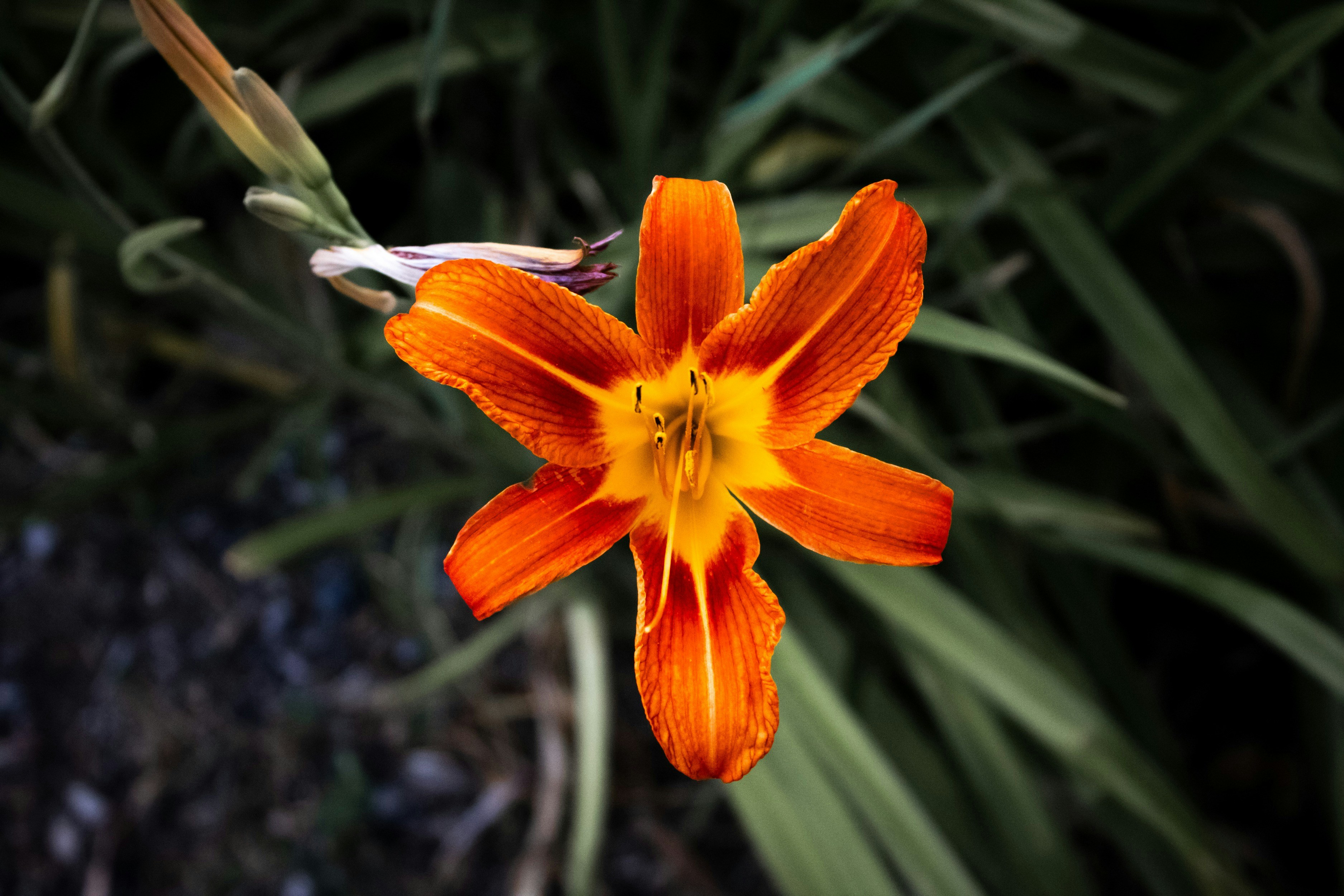 Photo by tavia_0508_sb