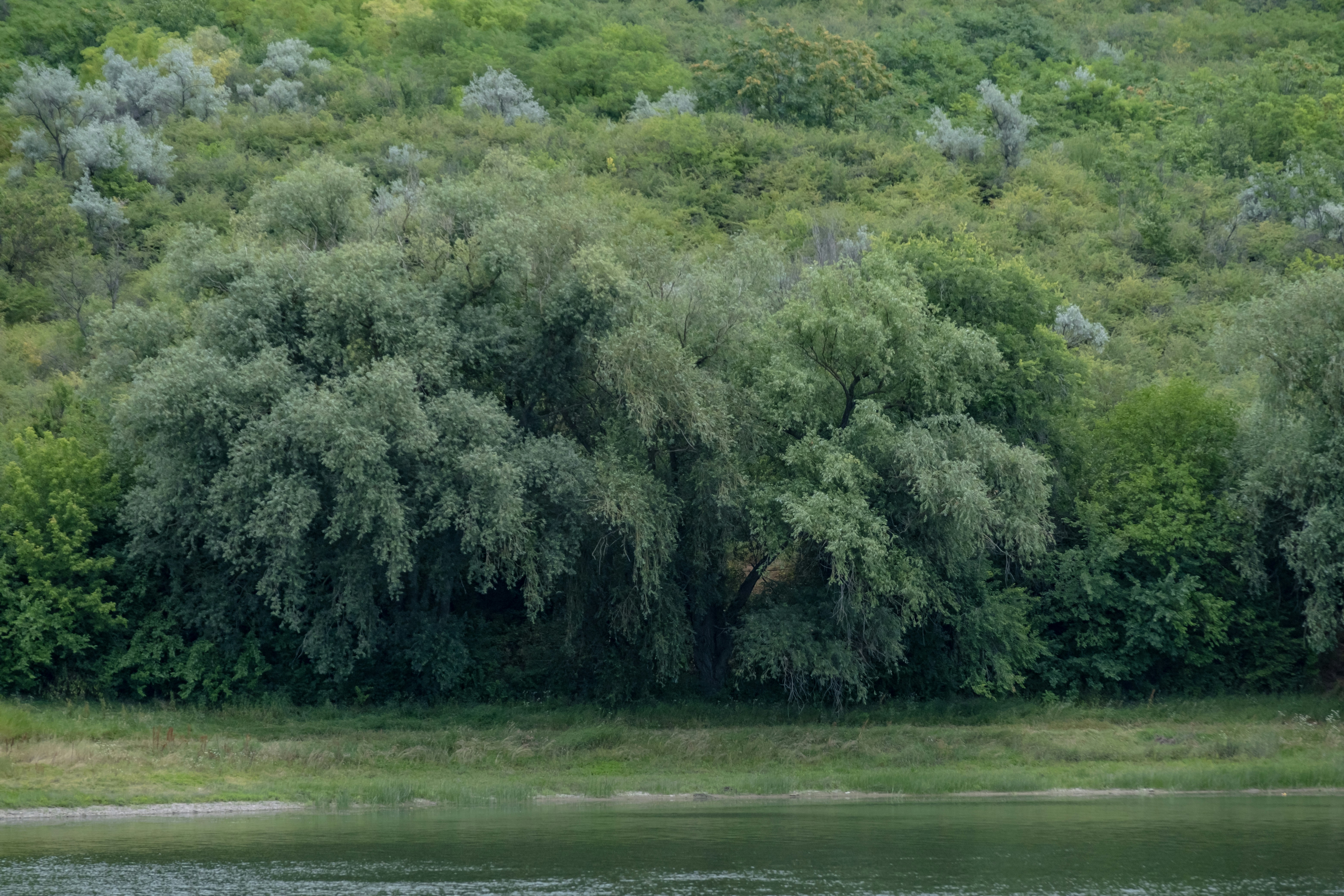 Stay online in the Moldova with a prepaid eSIM from eSIMlii. Instant activation, no roaming charges, and reliable coverage.