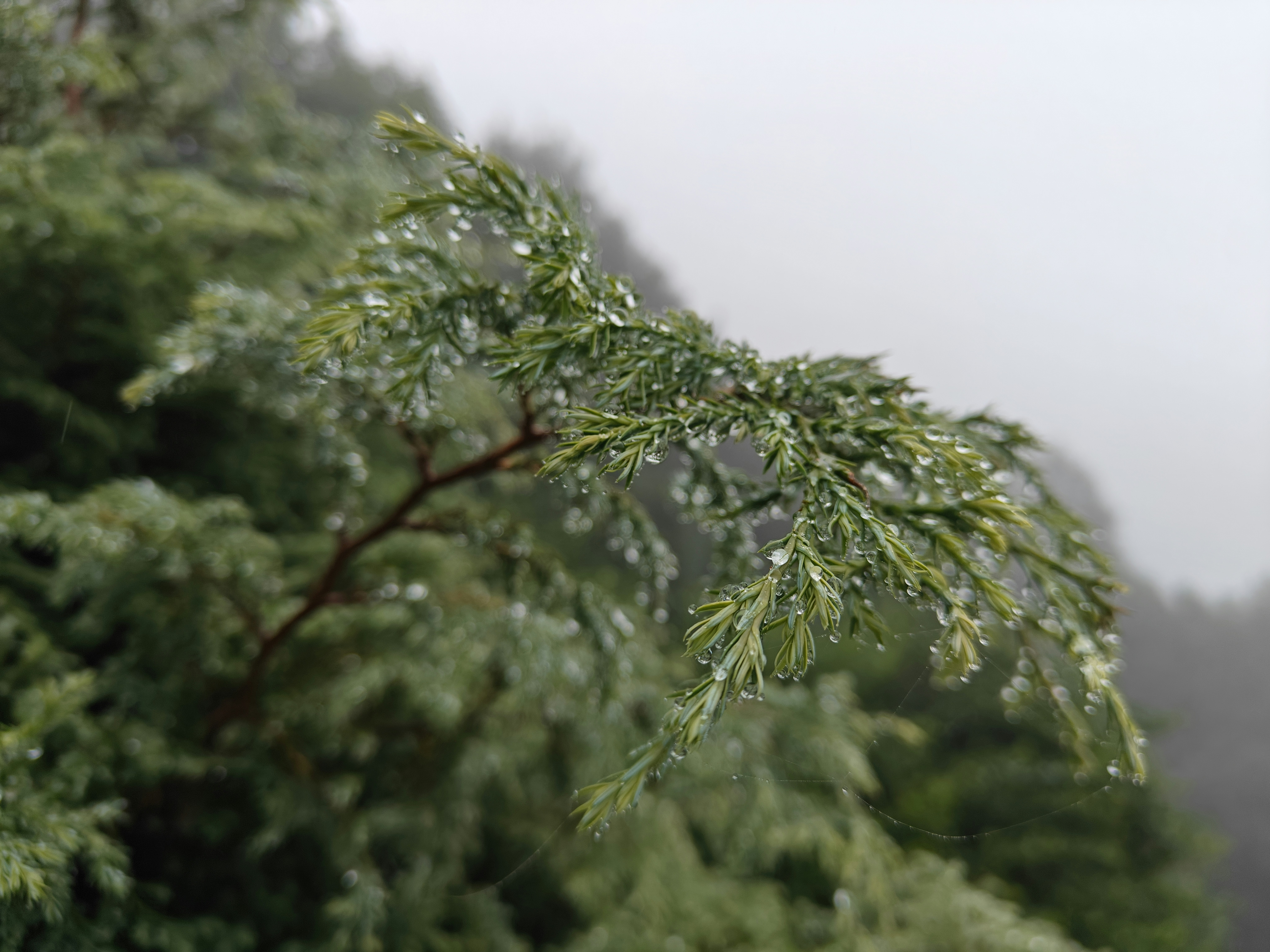 Photo by adarshmadrecha