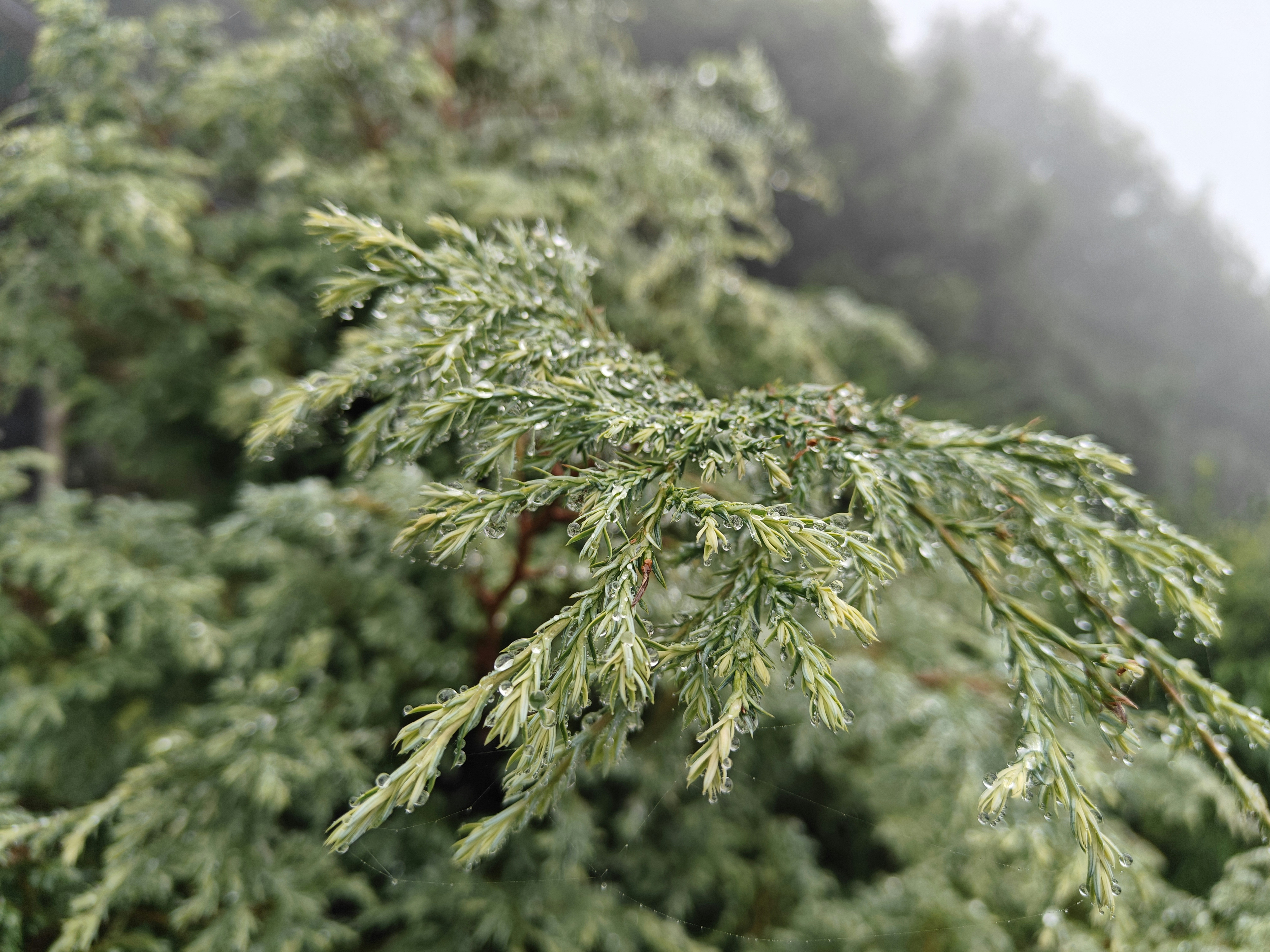 Photo by adarshmadrecha