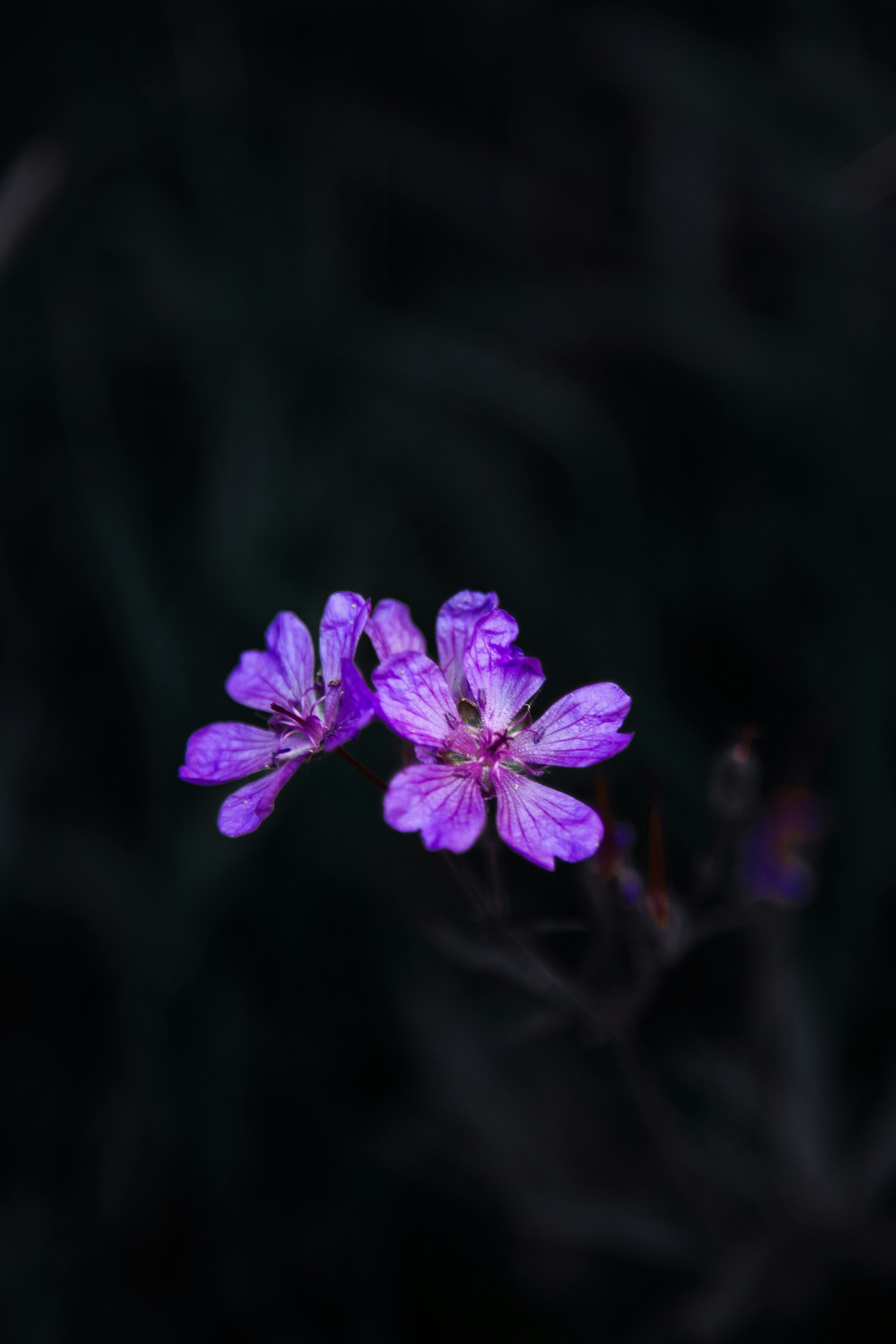 Photo by 1251838misxhusbdc