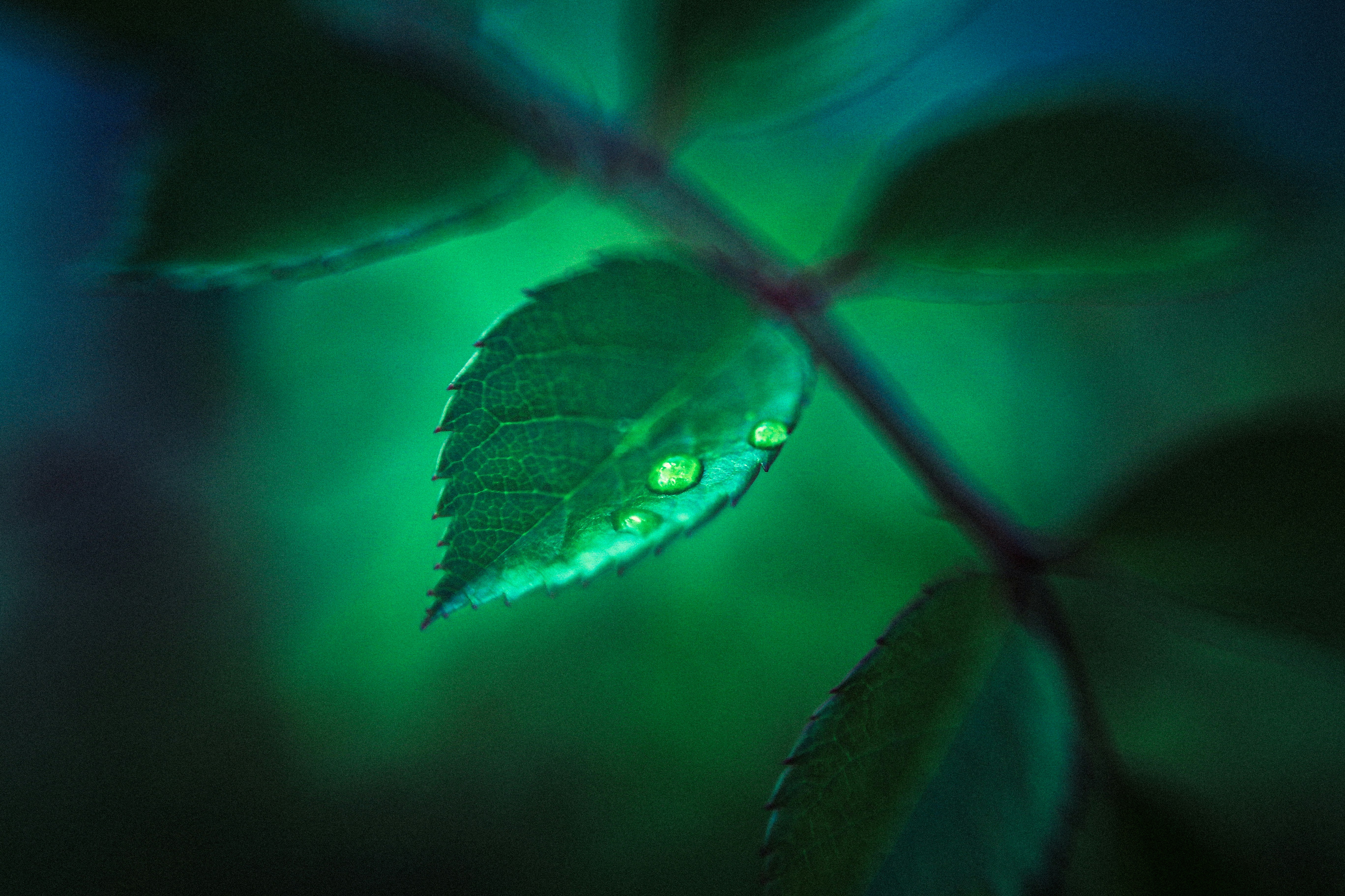 Photo by 1251838misxhusbdc