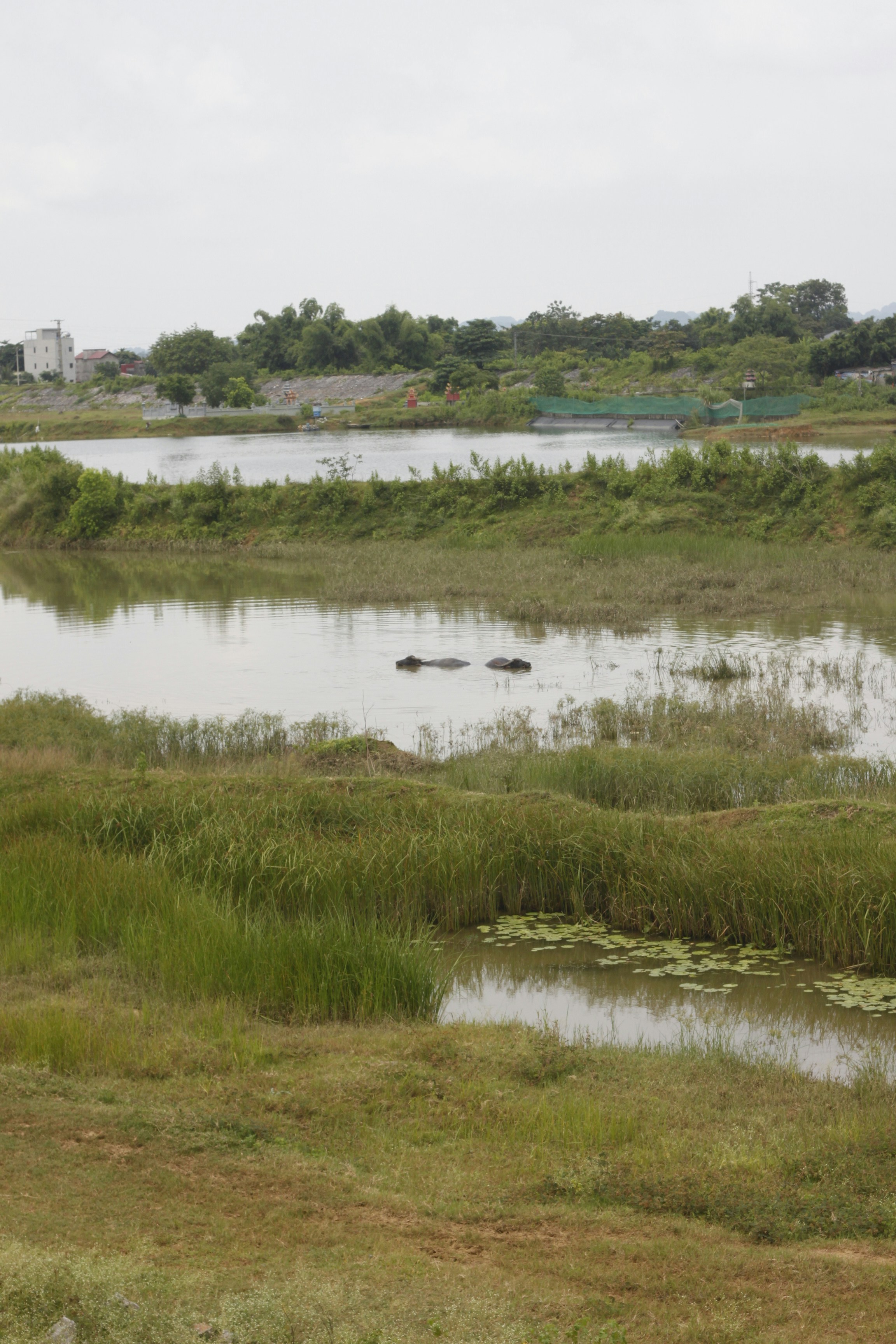 Photo by jtrinh_artwork