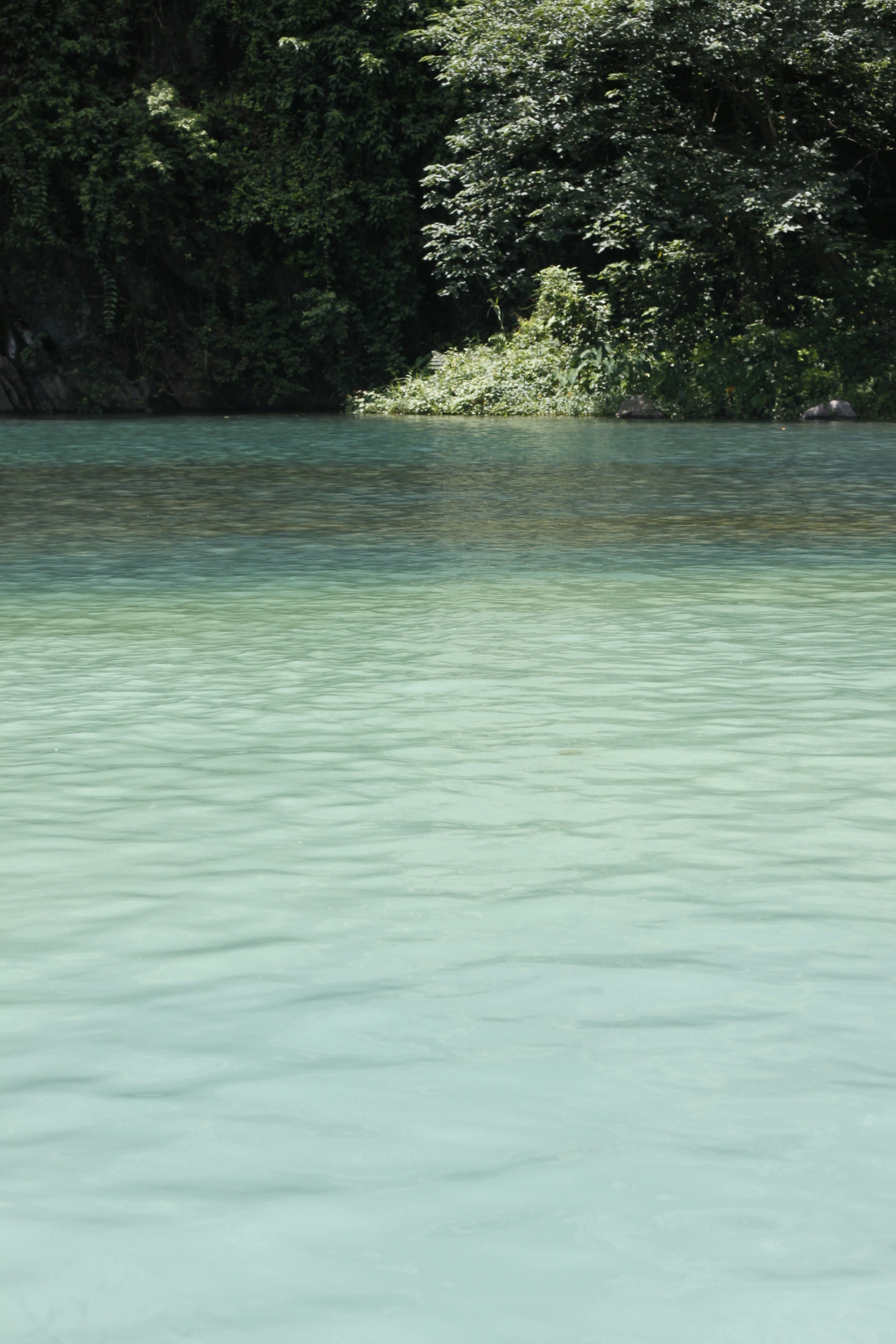 Photo by jtrinh_artwork