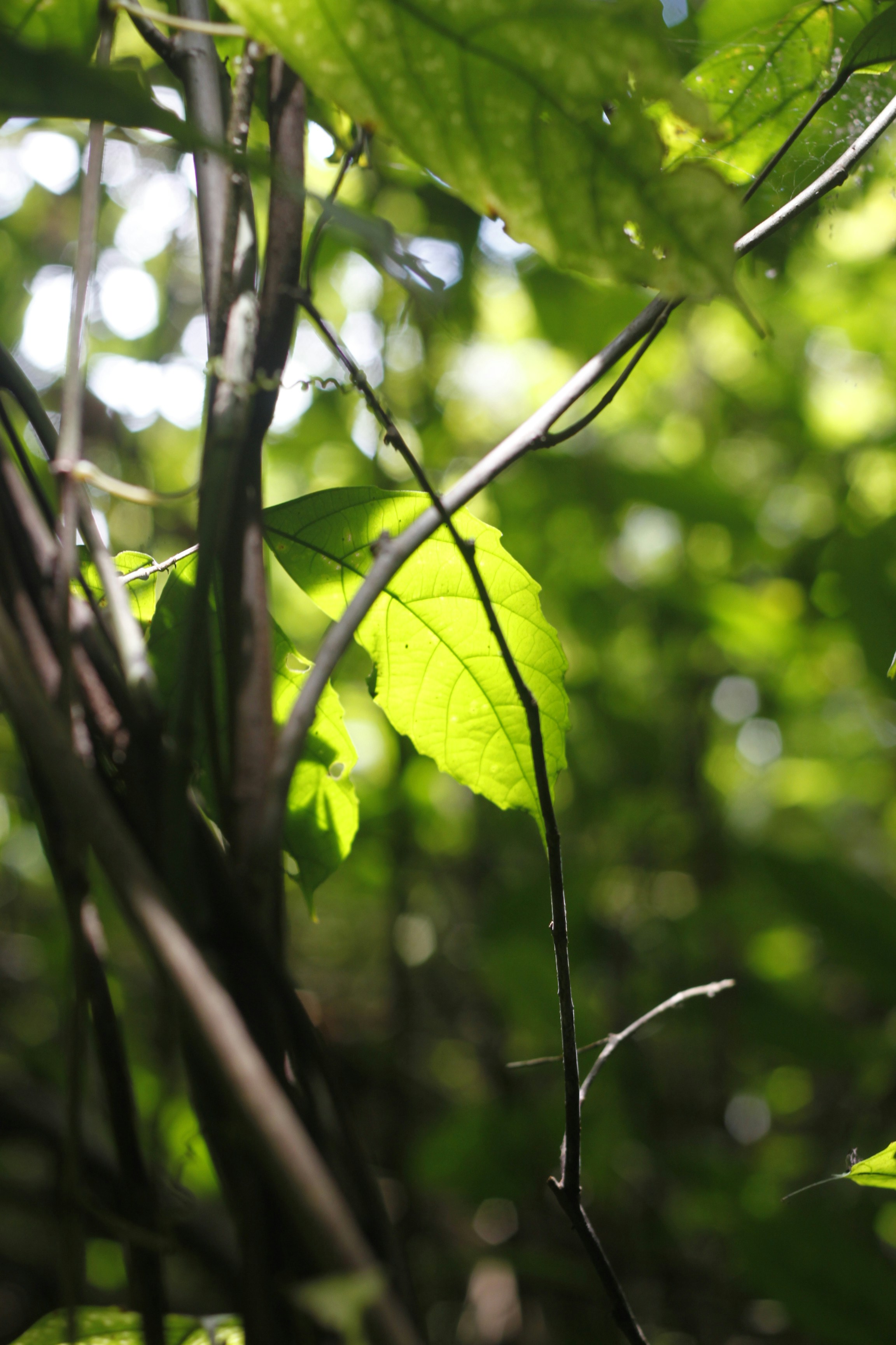 Photo by jtrinh_artwork