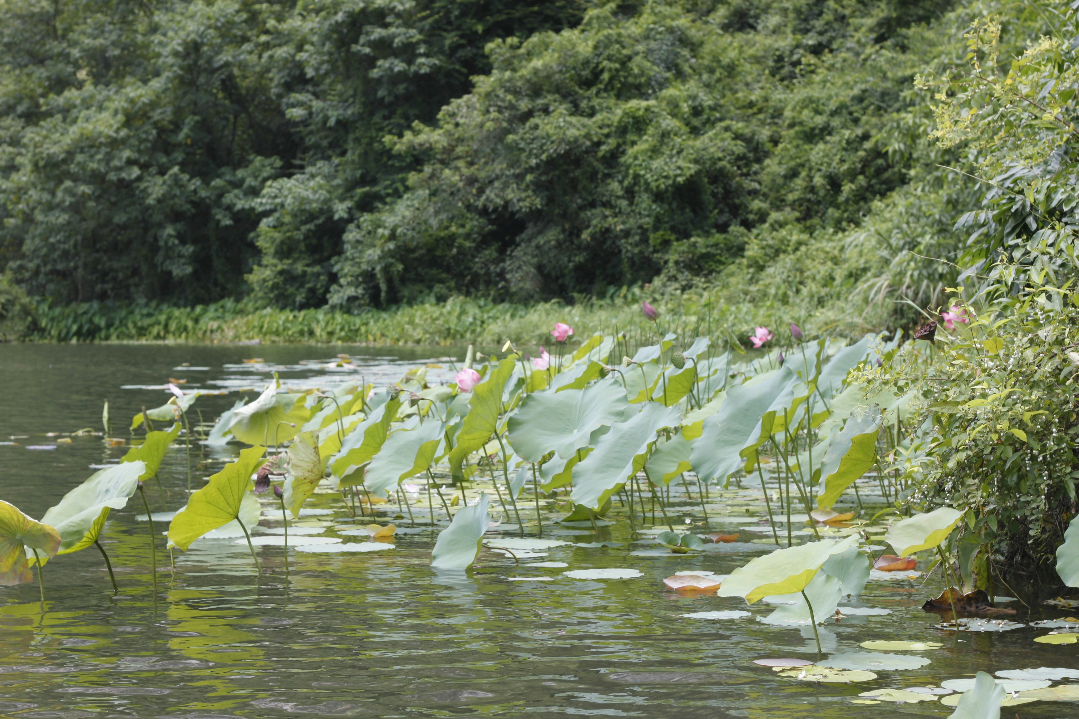 Photo by jtrinh_artwork