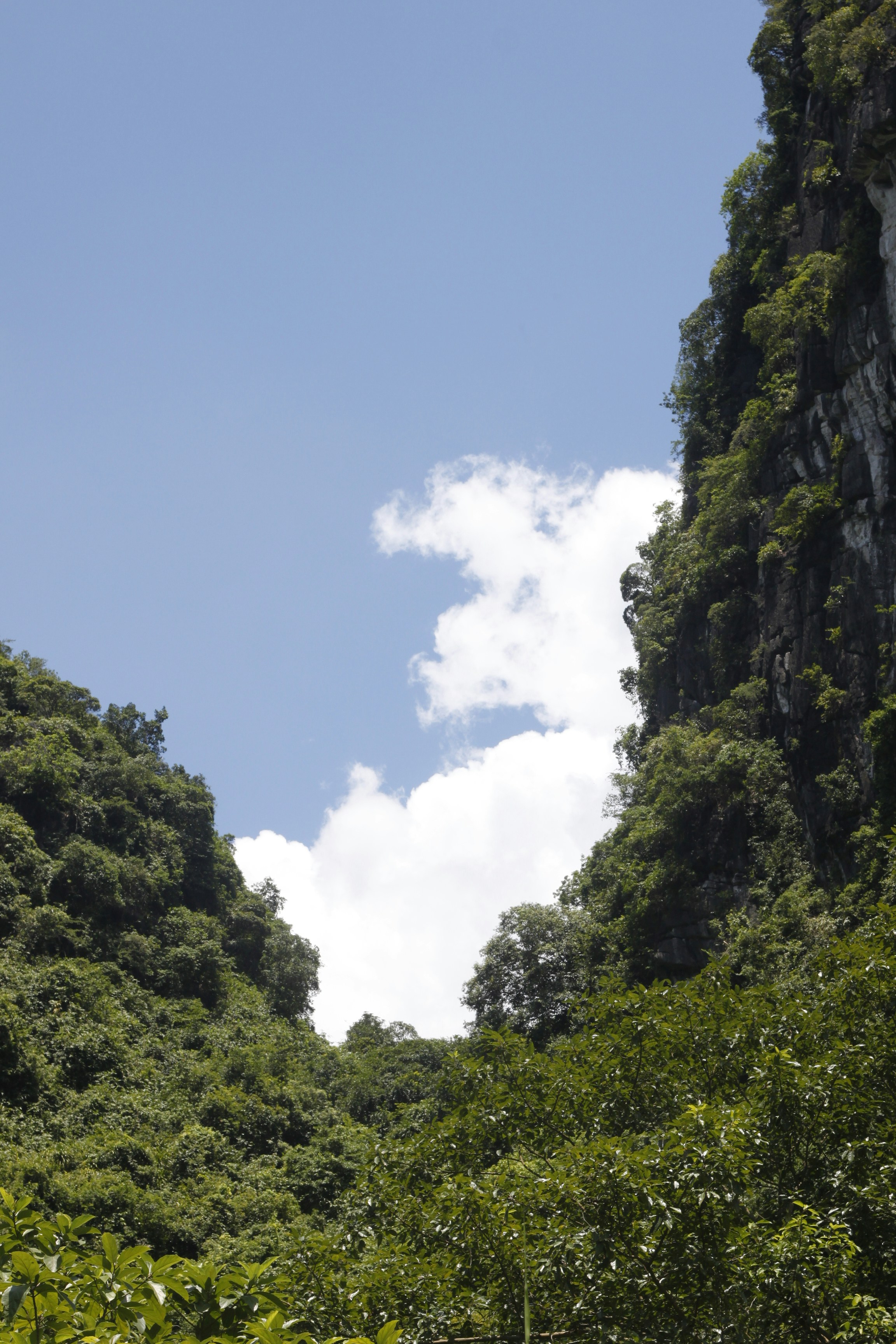 Photo by jtrinh_artwork