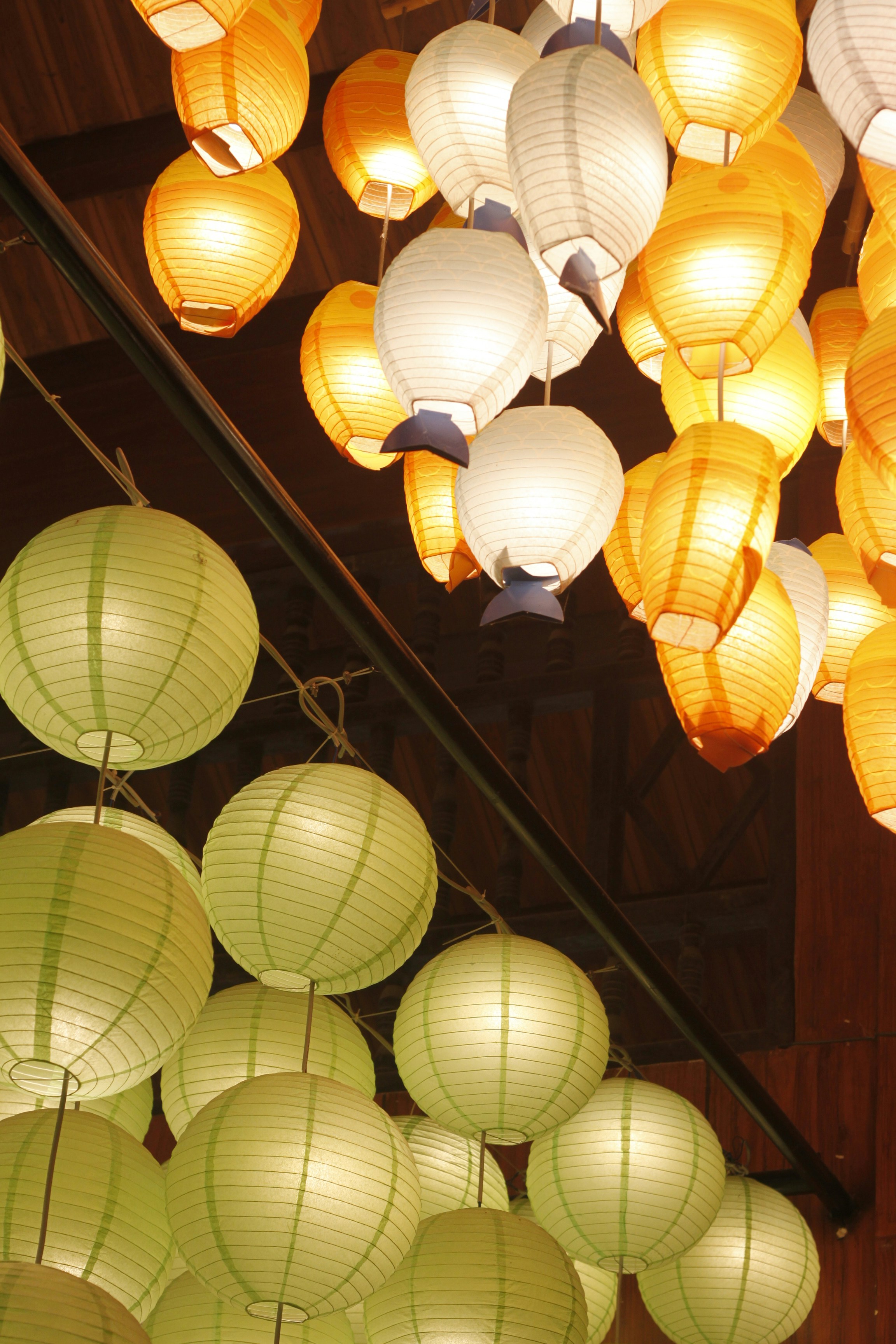 Photo by jtrinh_artwork