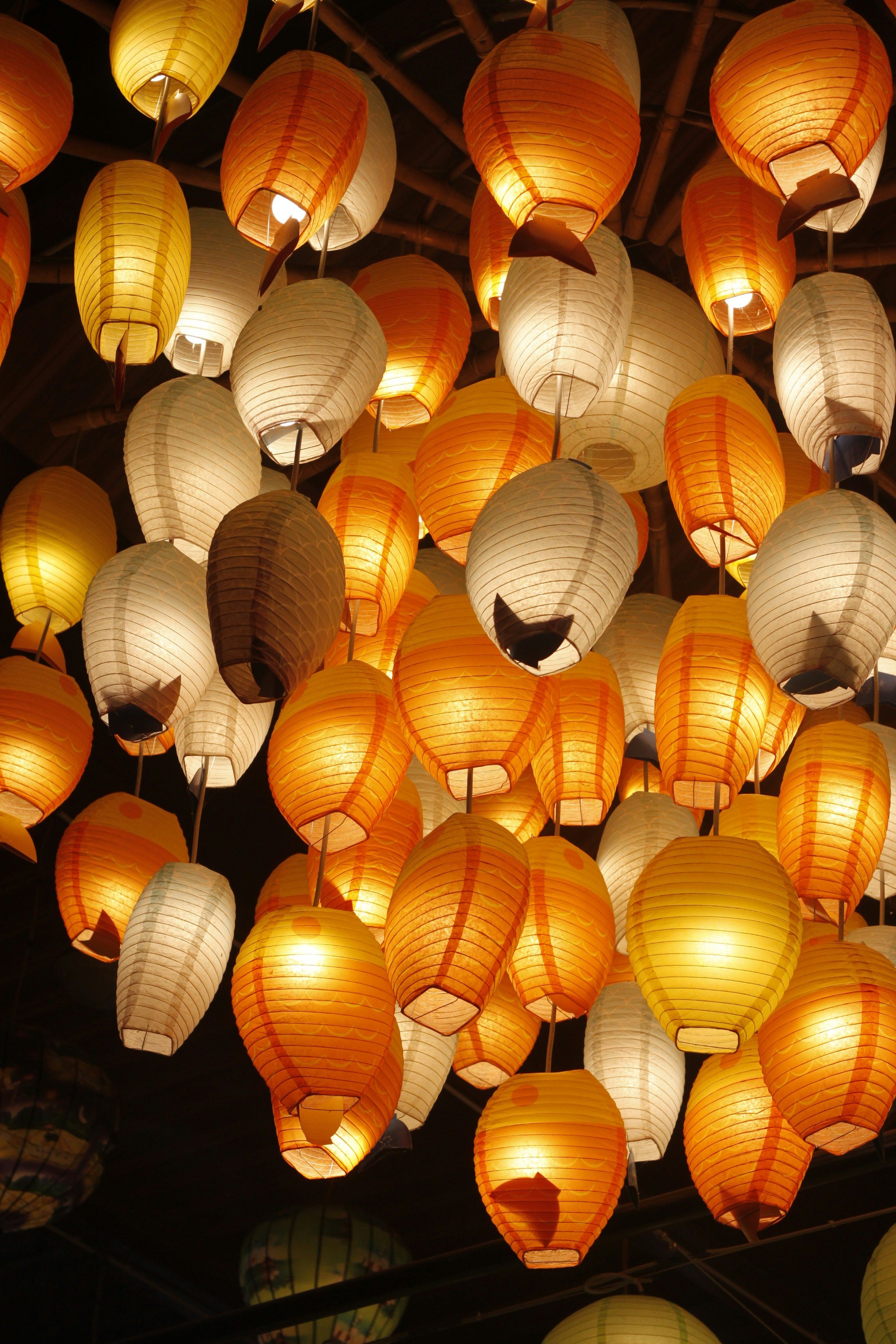 Photo by jtrinh_artwork