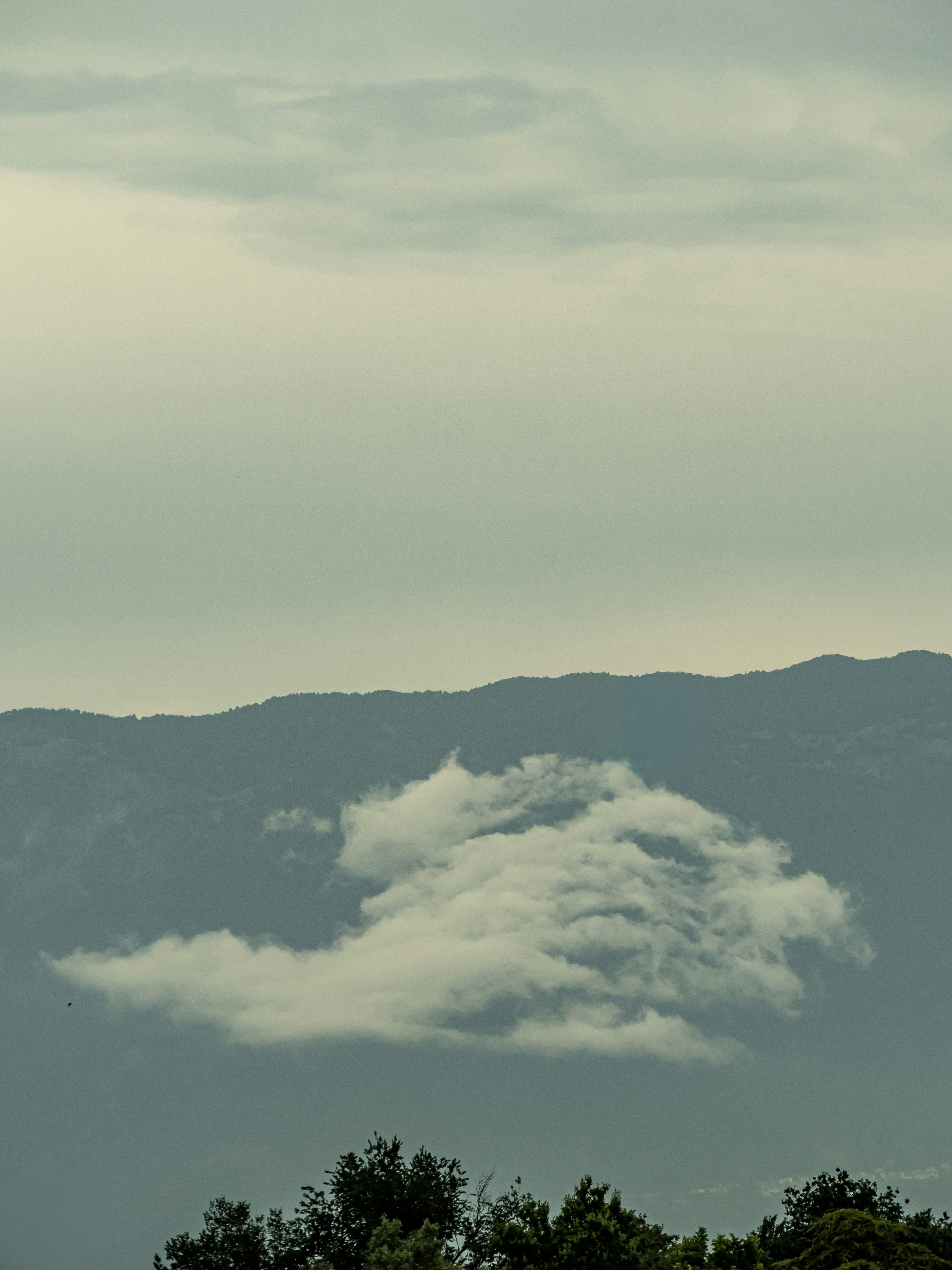 Photo by gopitri_prem