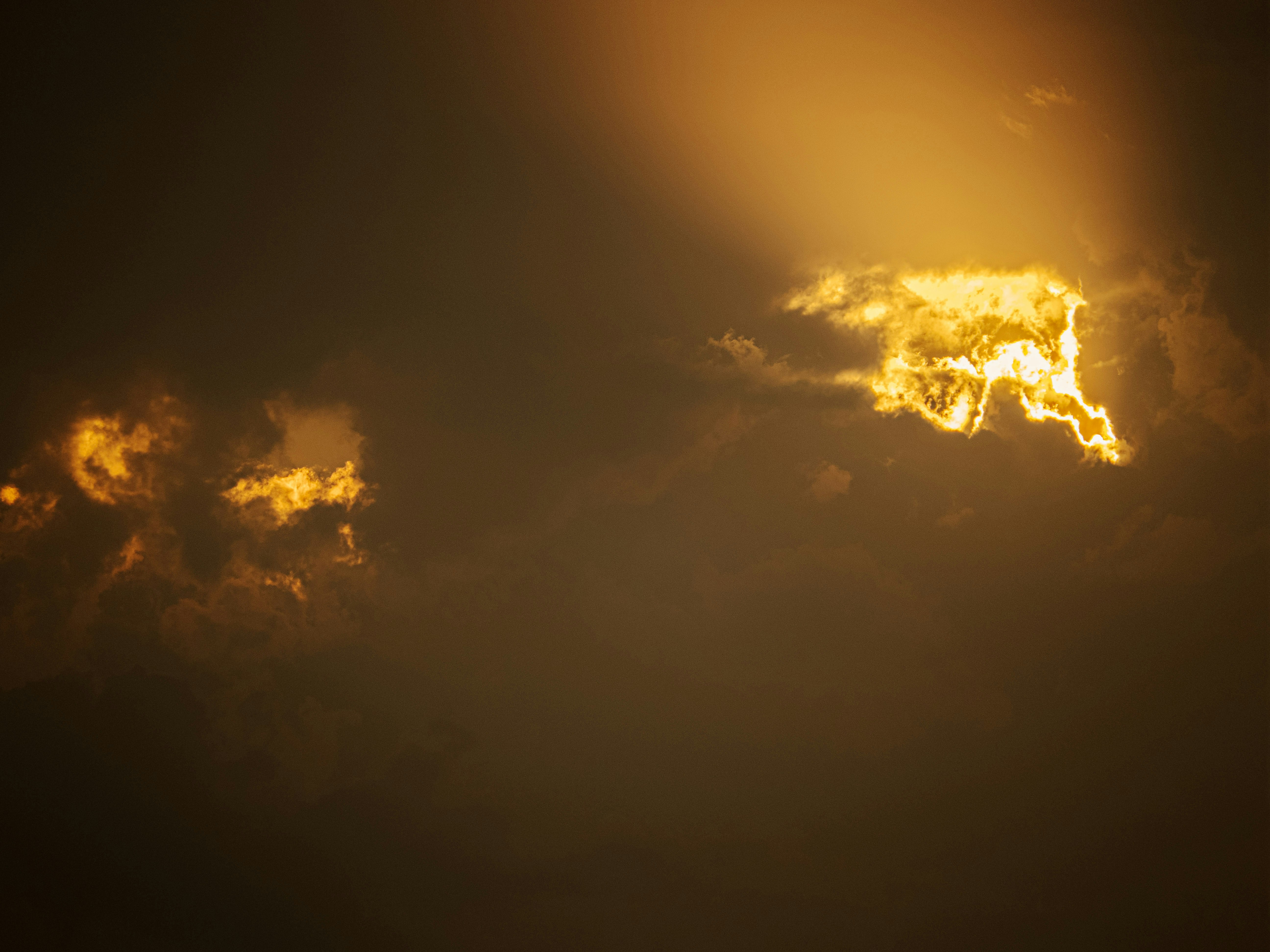 Photo by gopitri_prem