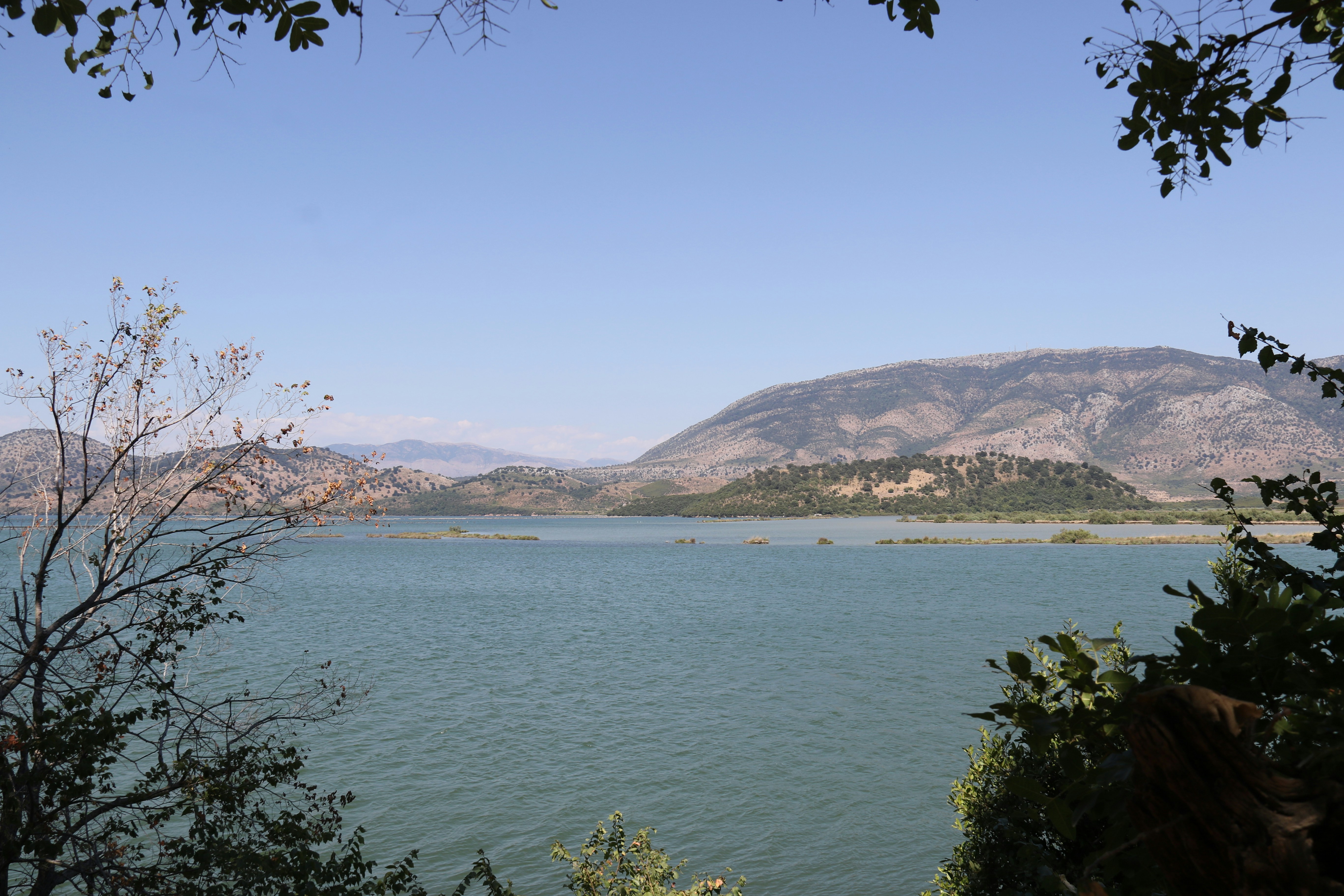 Photo by andreiacunha