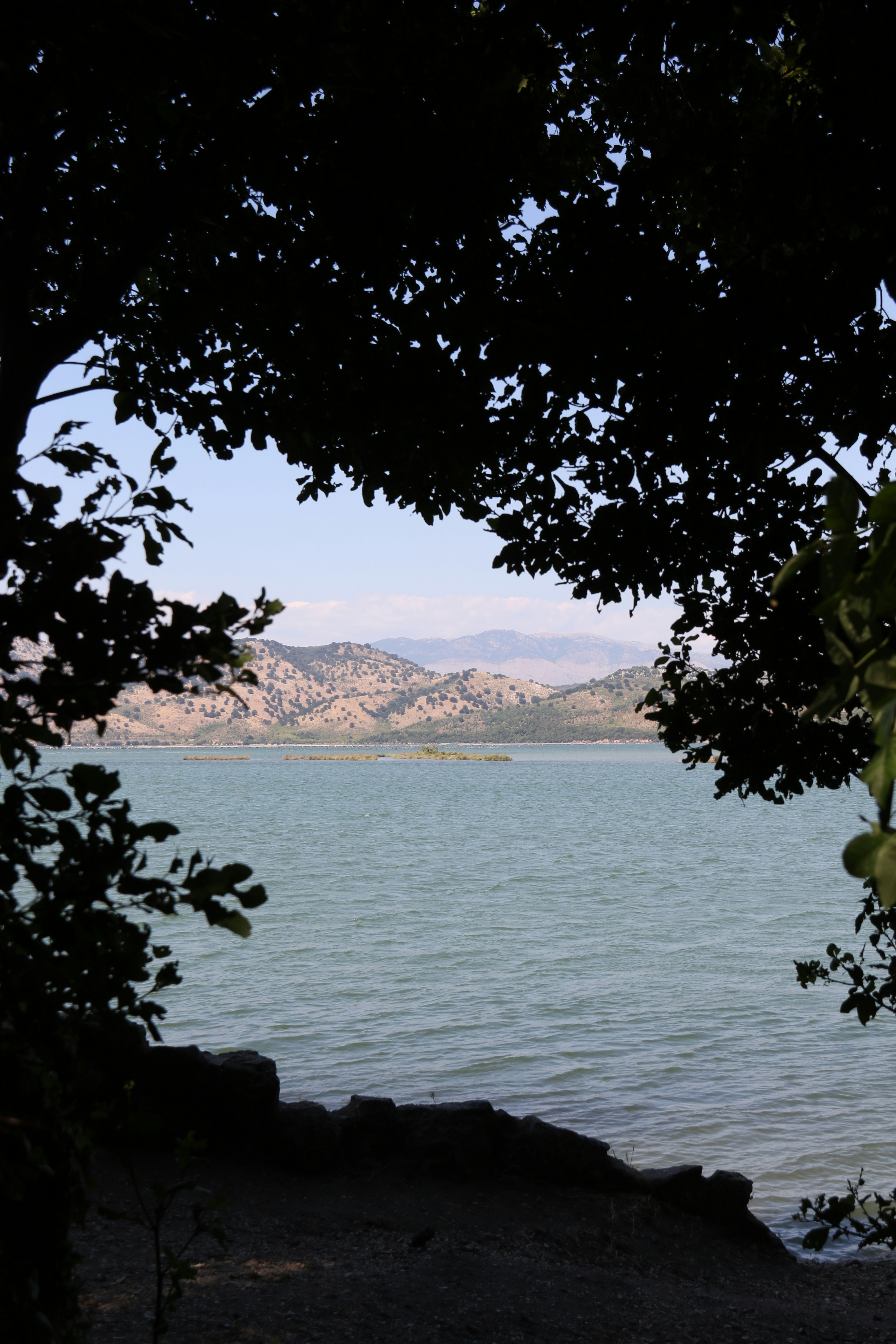 Photo by andreiacunha