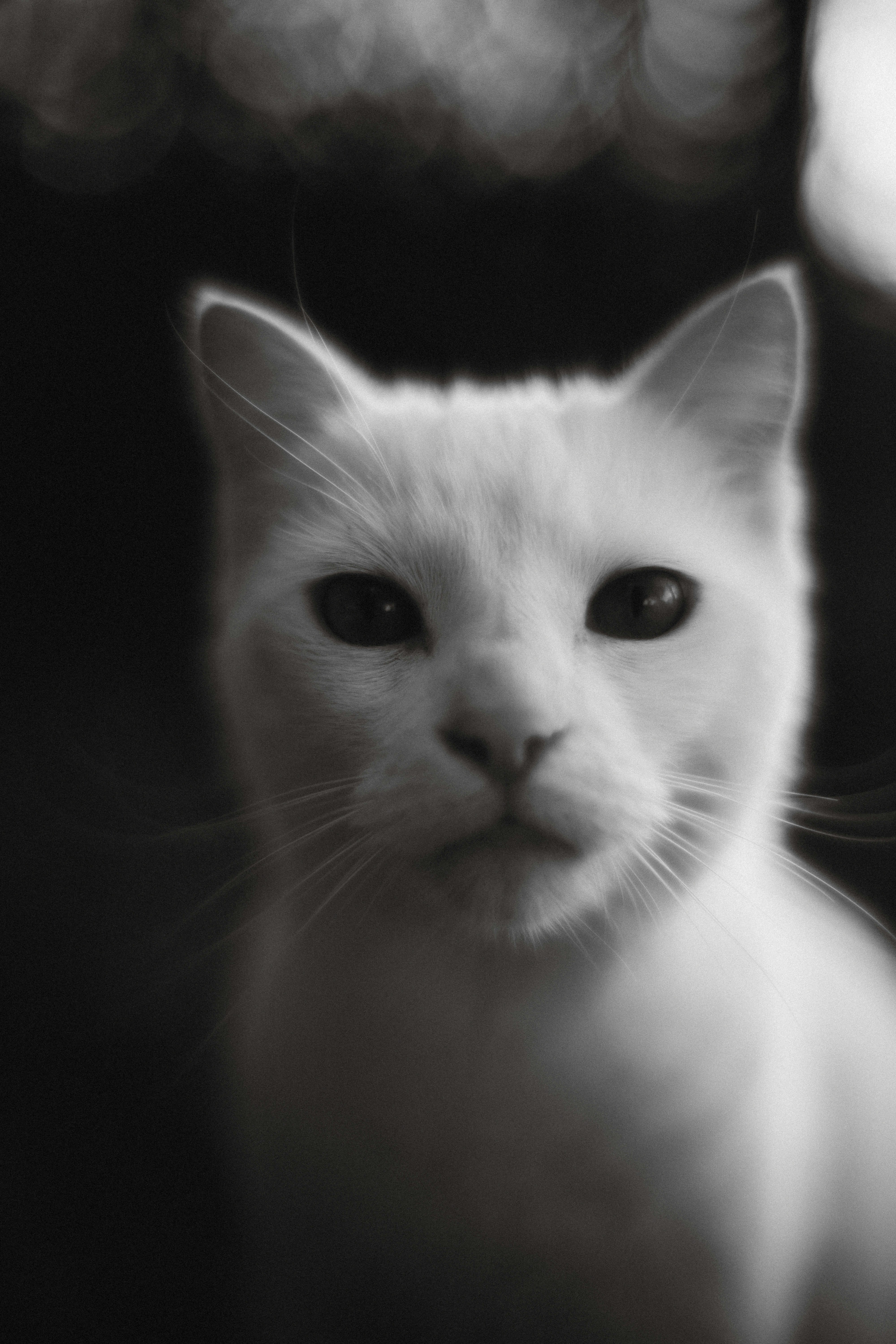 Photo by elmartinbaron